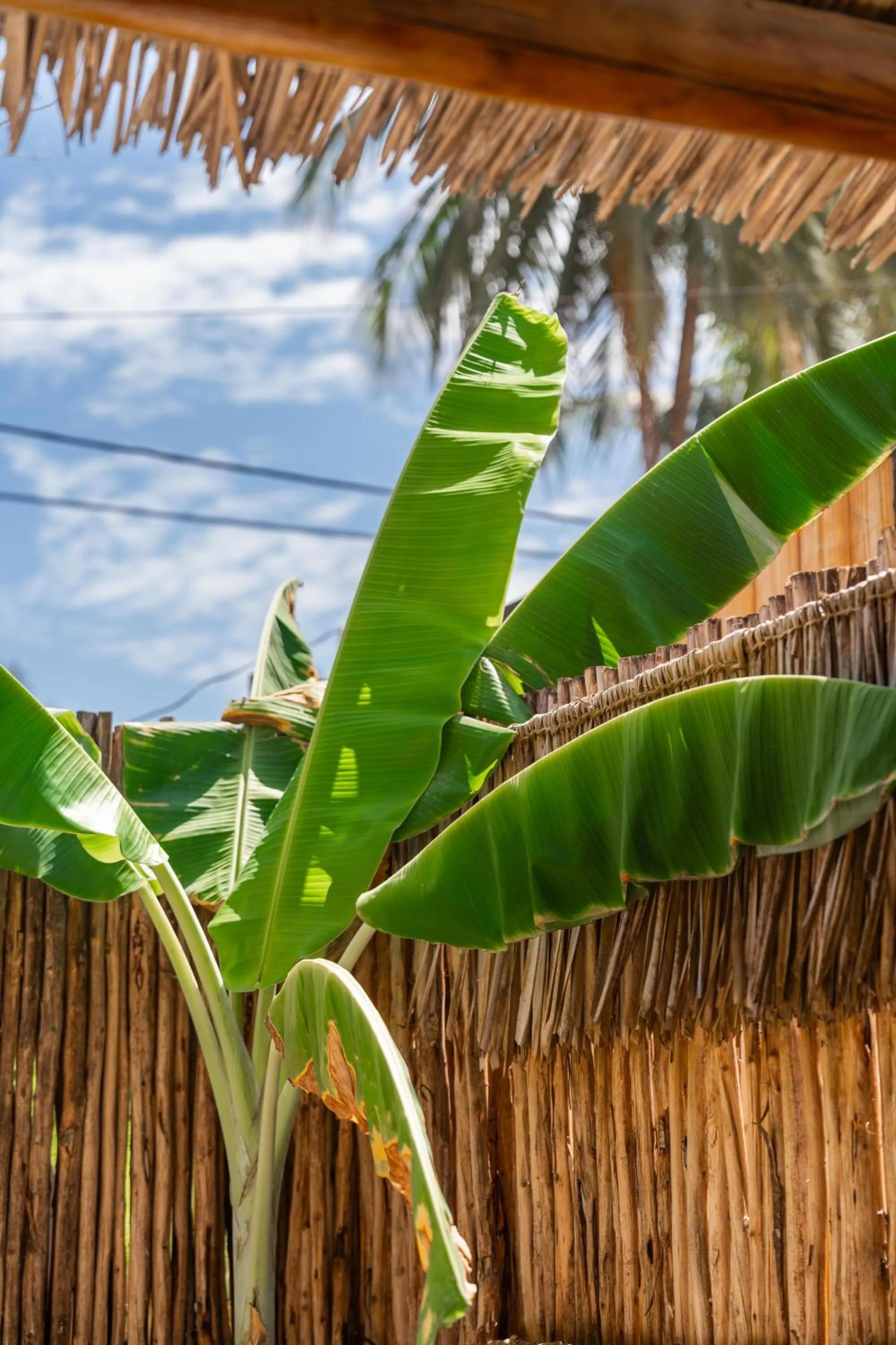 Maisha Matamu Boutique