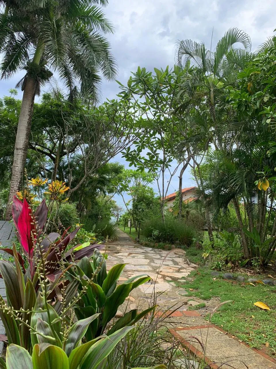 Garden in Hotel Posada Los Destiladeros