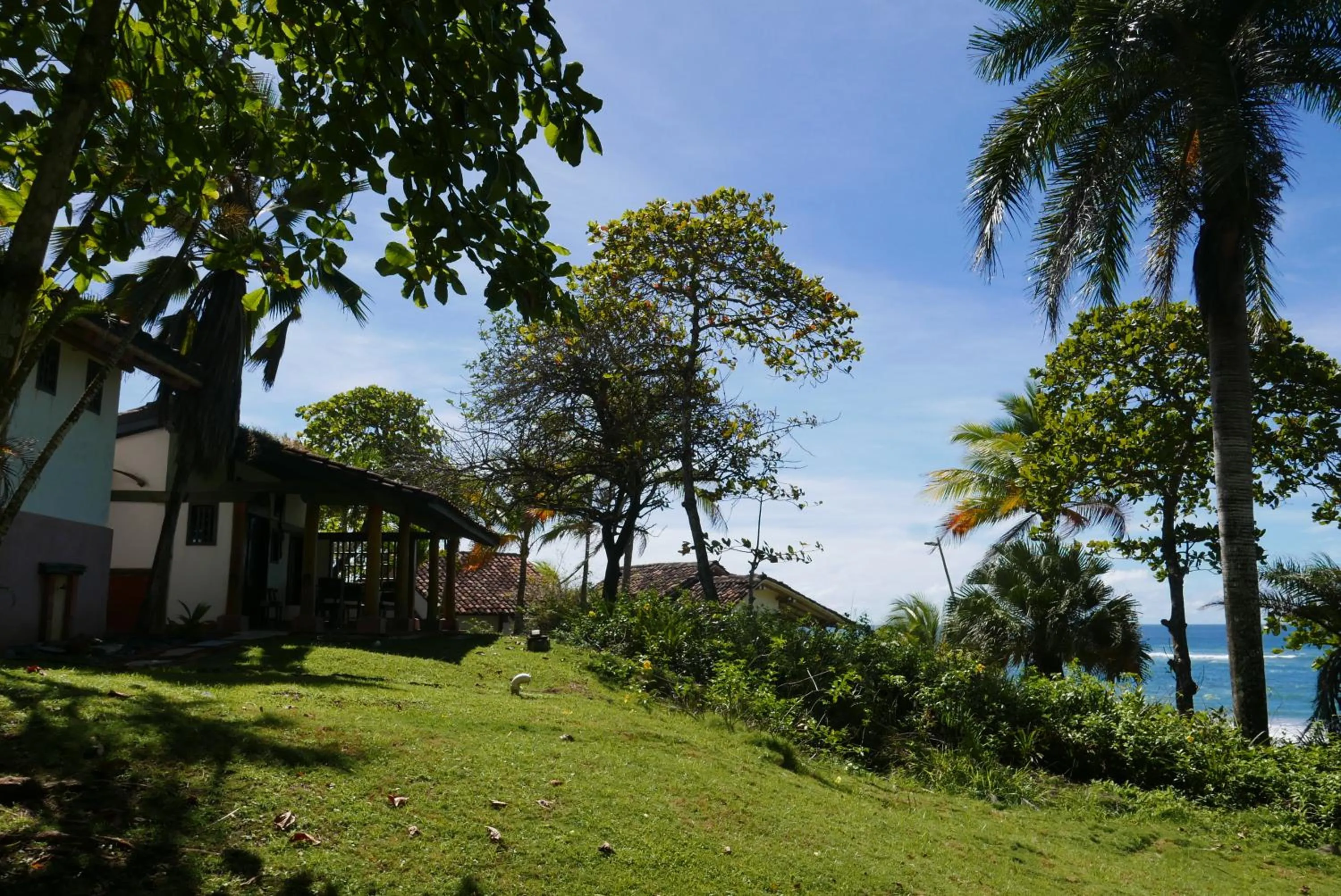 Garden in Hotel Posada Los Destiladeros