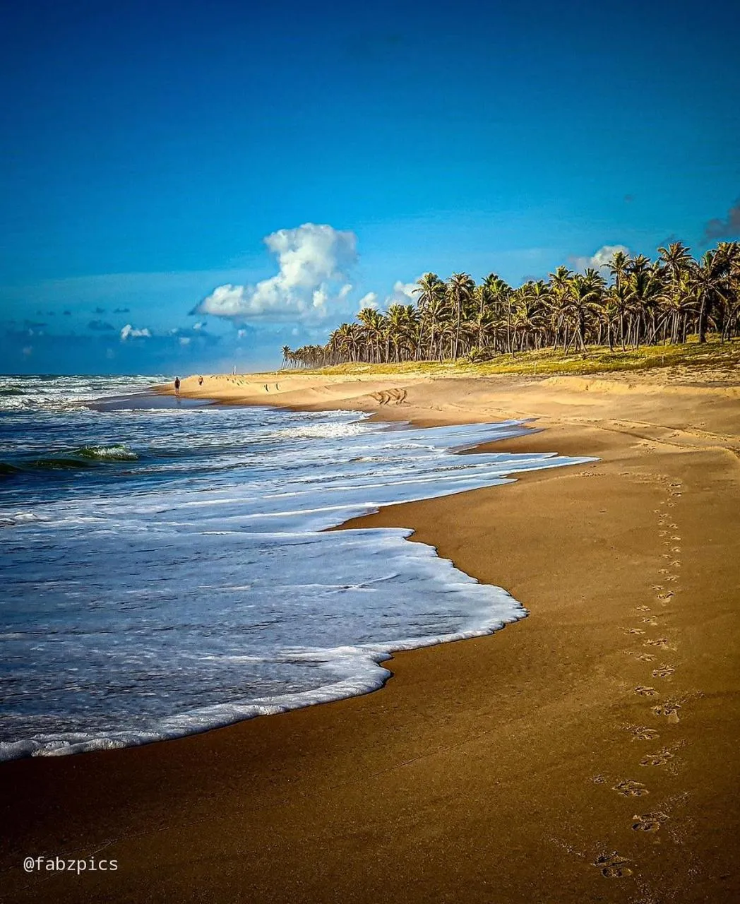 Natural landscape in Tree Bies Resort