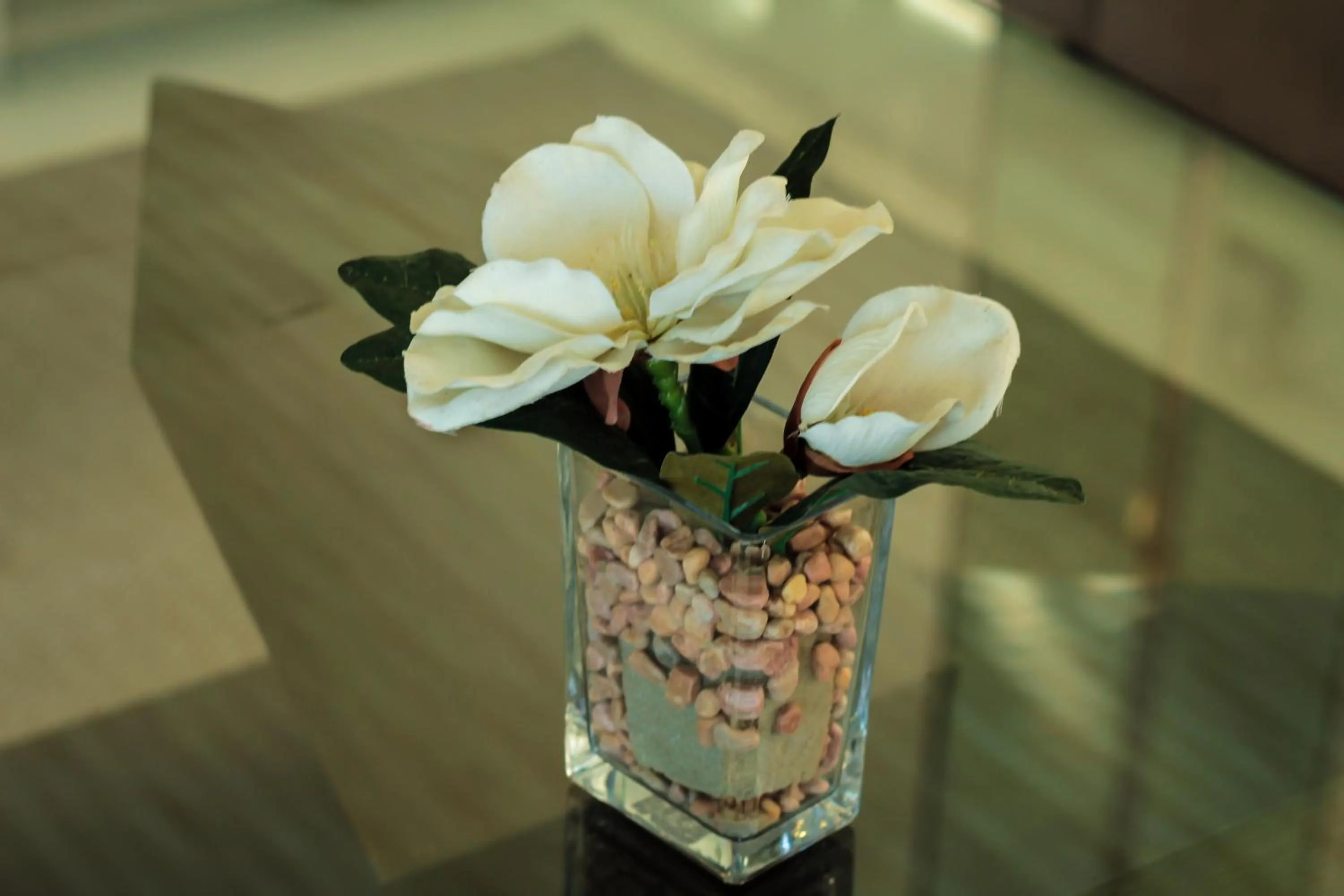 Other in Casablanca Suites Near Airport