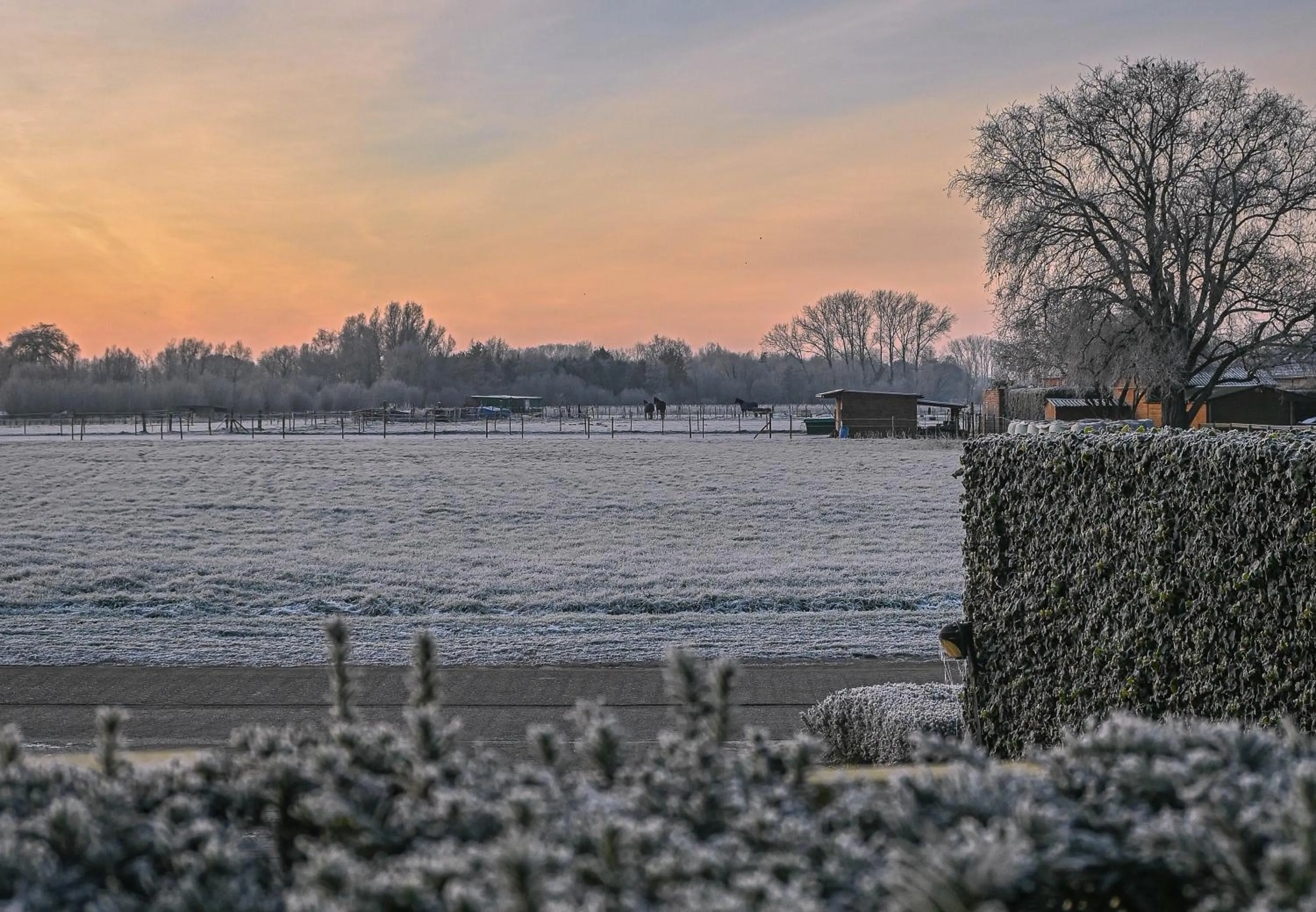 Natural landscape in Hotel Essenza