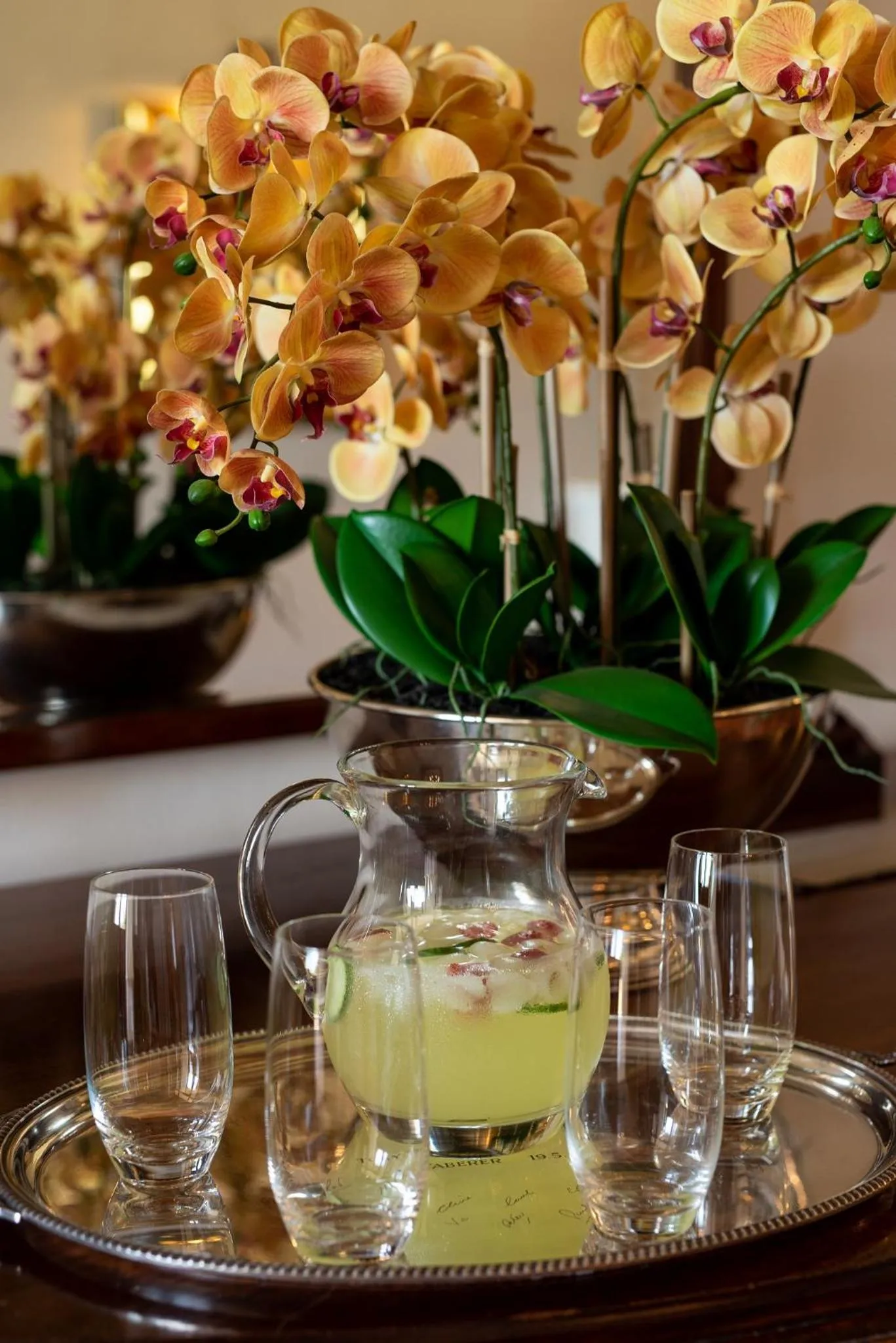 Drinks in Avontuur Manor House and Wine Estate