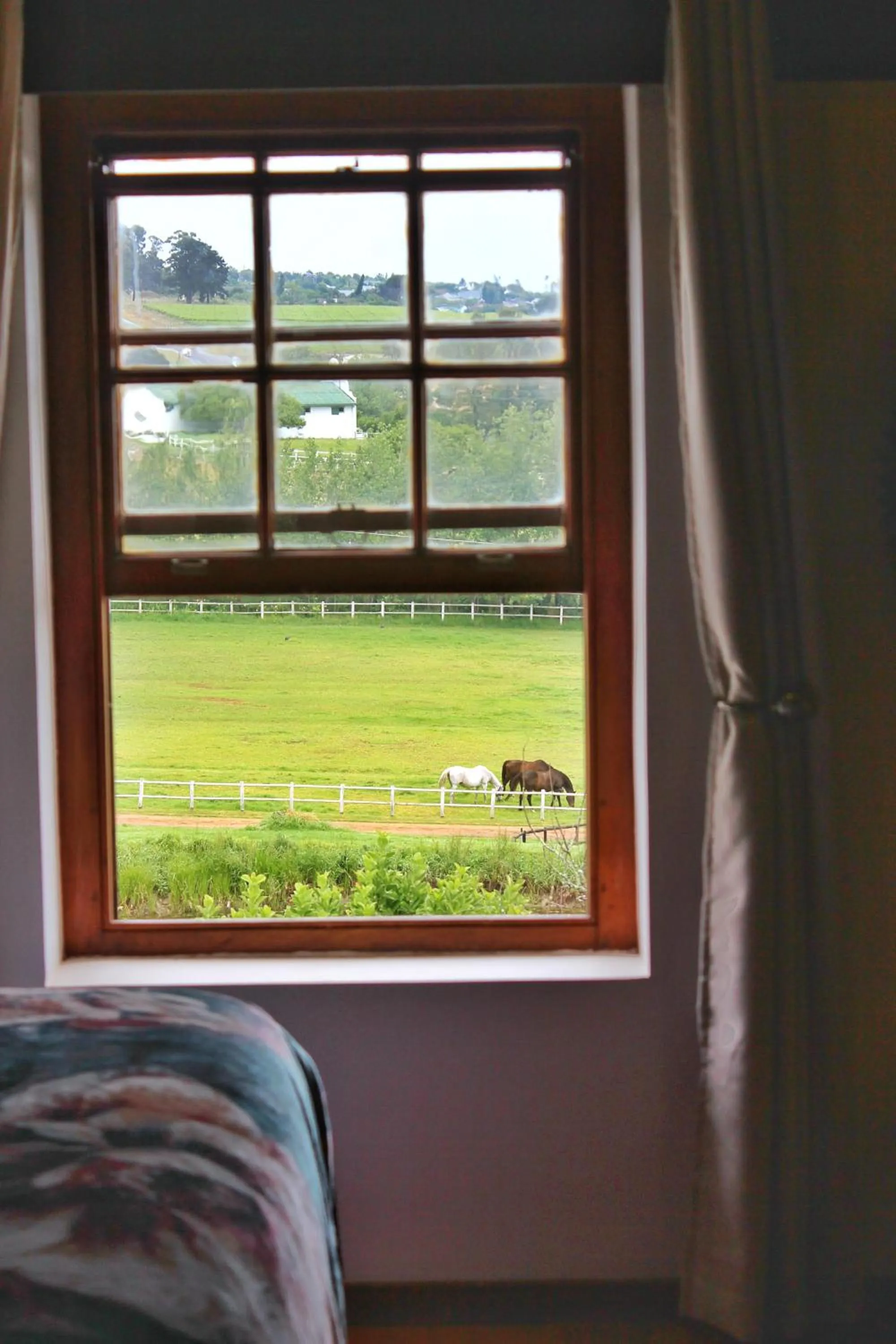 View (from property/room) in Avontuur Manor House and Wine Estate