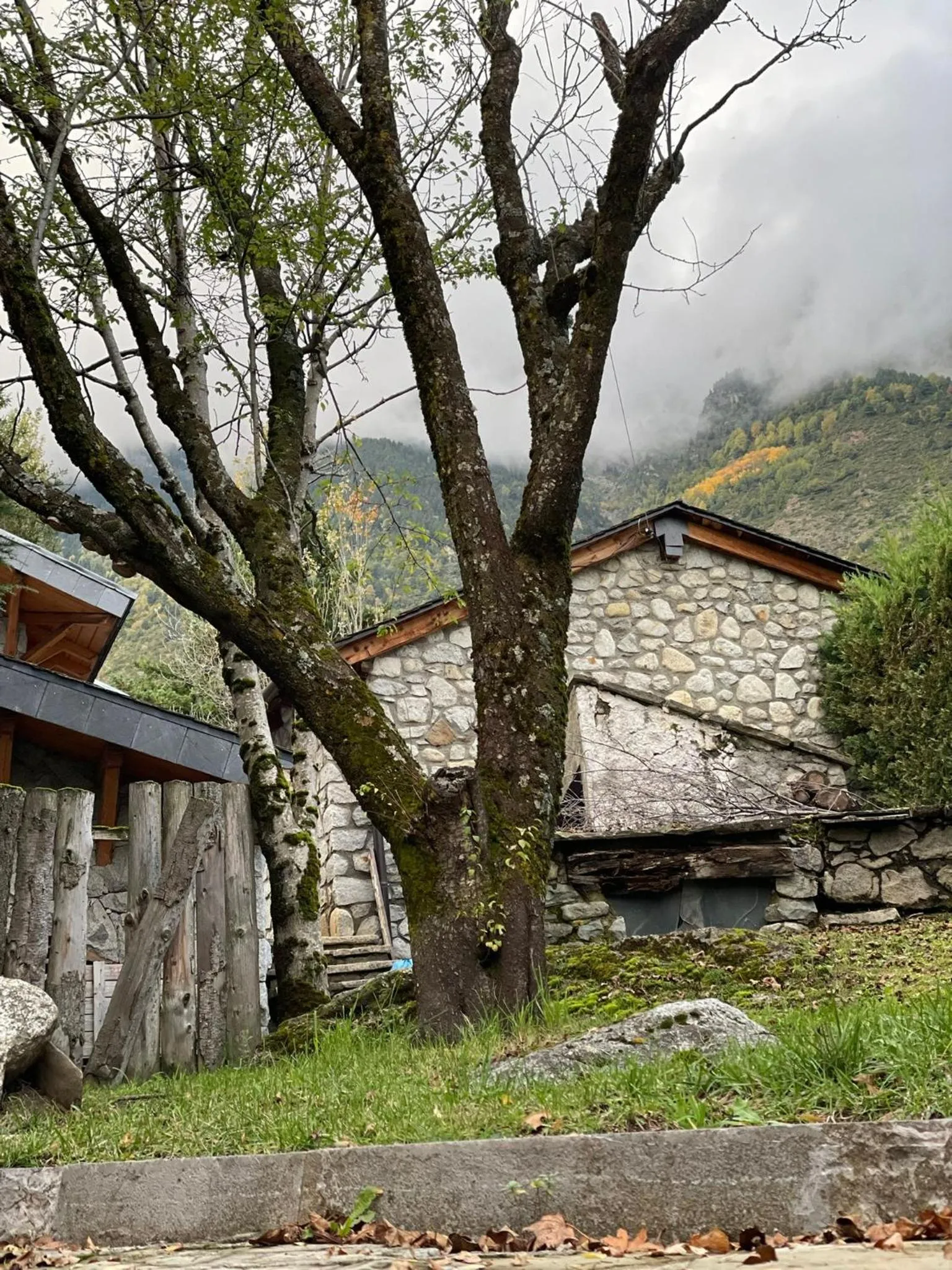 Natural landscape in Hotel Vallibierna
