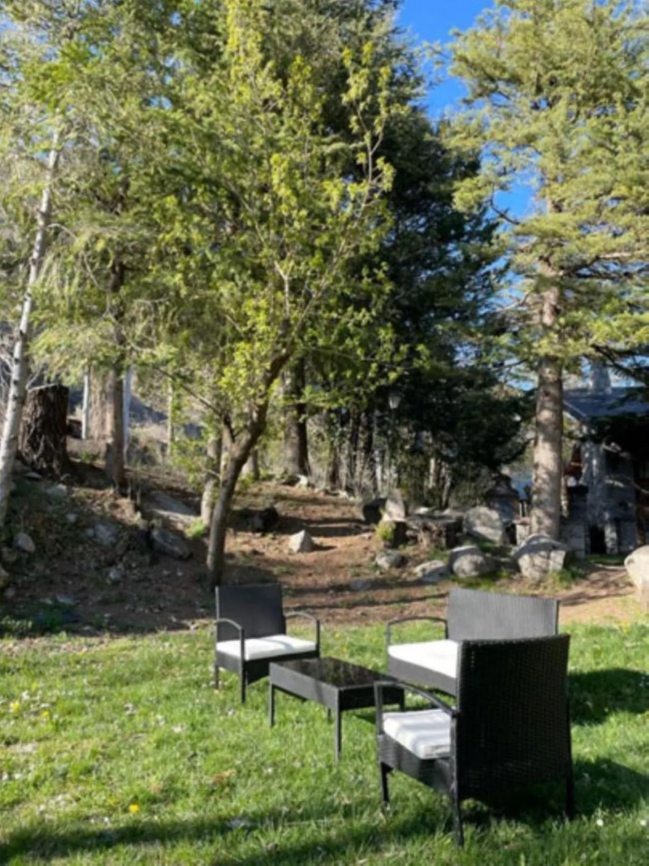 Garden in Hotel Vallibierna