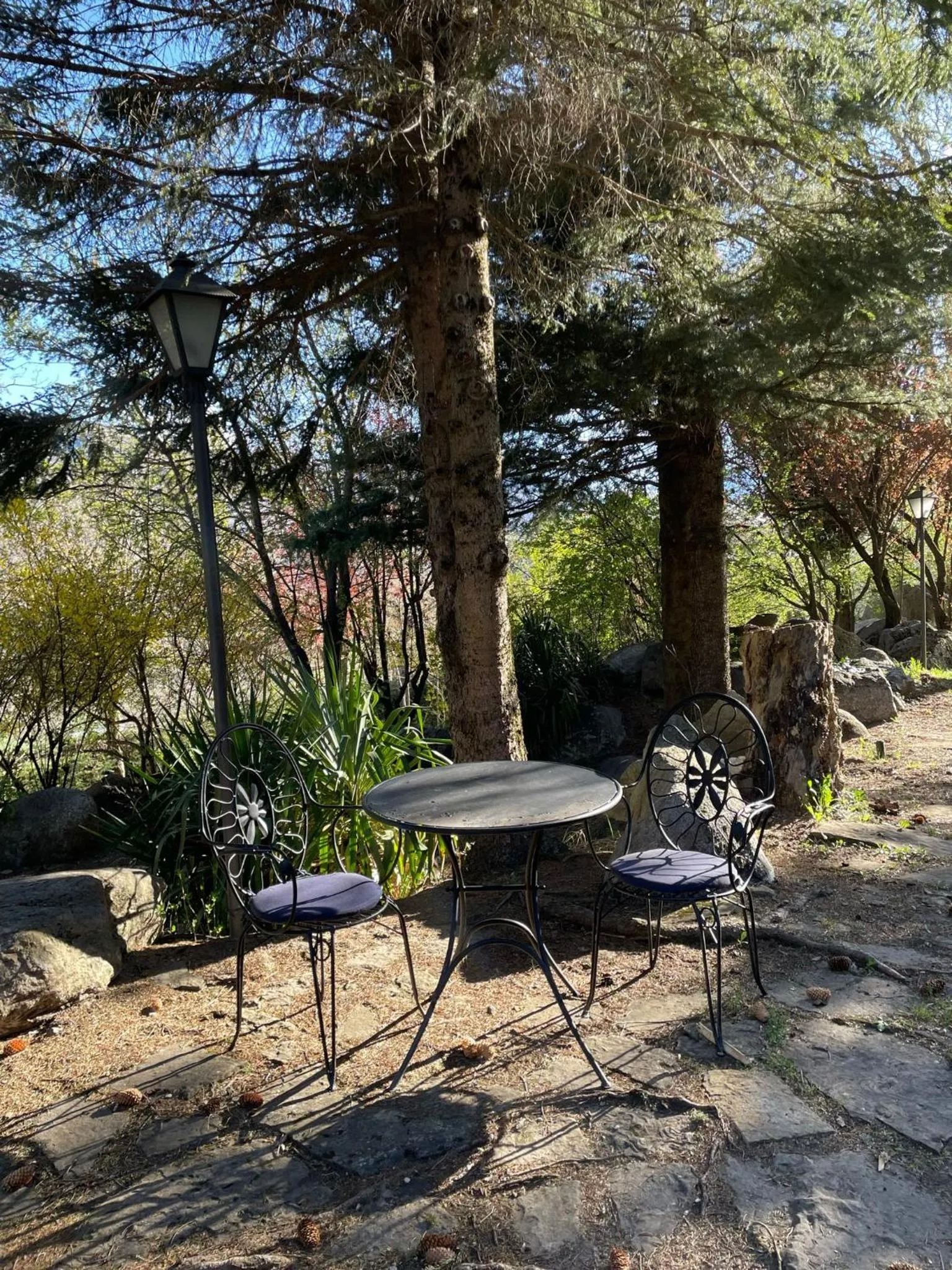 Spring in Hotel Vallibierna