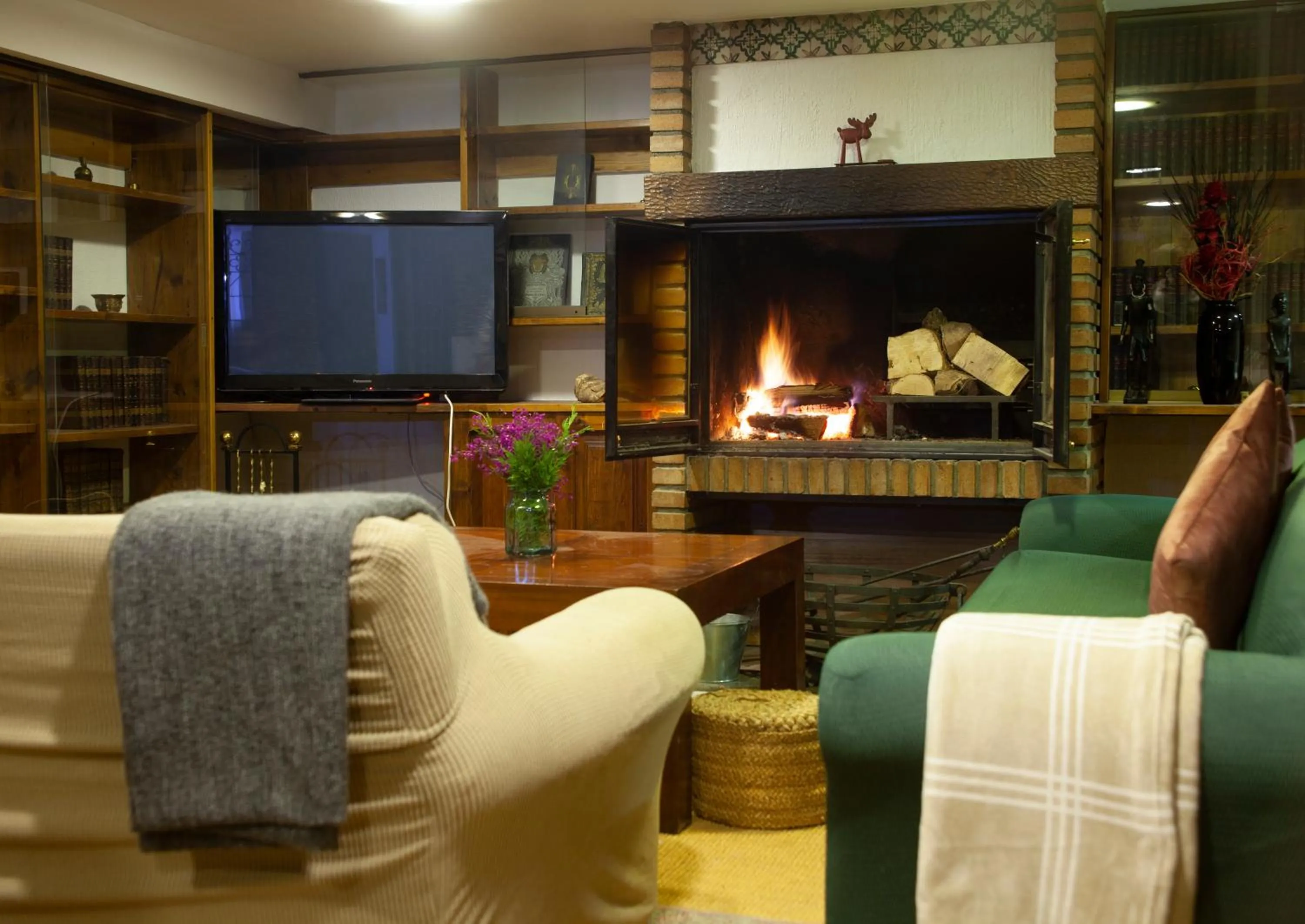 Living room in Hotel Vallibierna