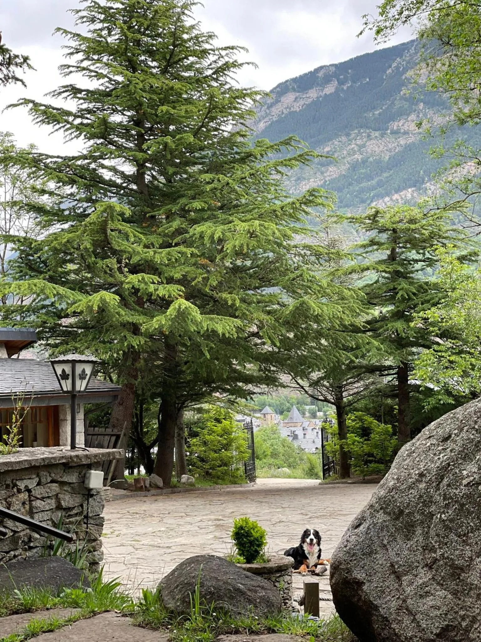 Natural landscape in Hotel Vallibierna