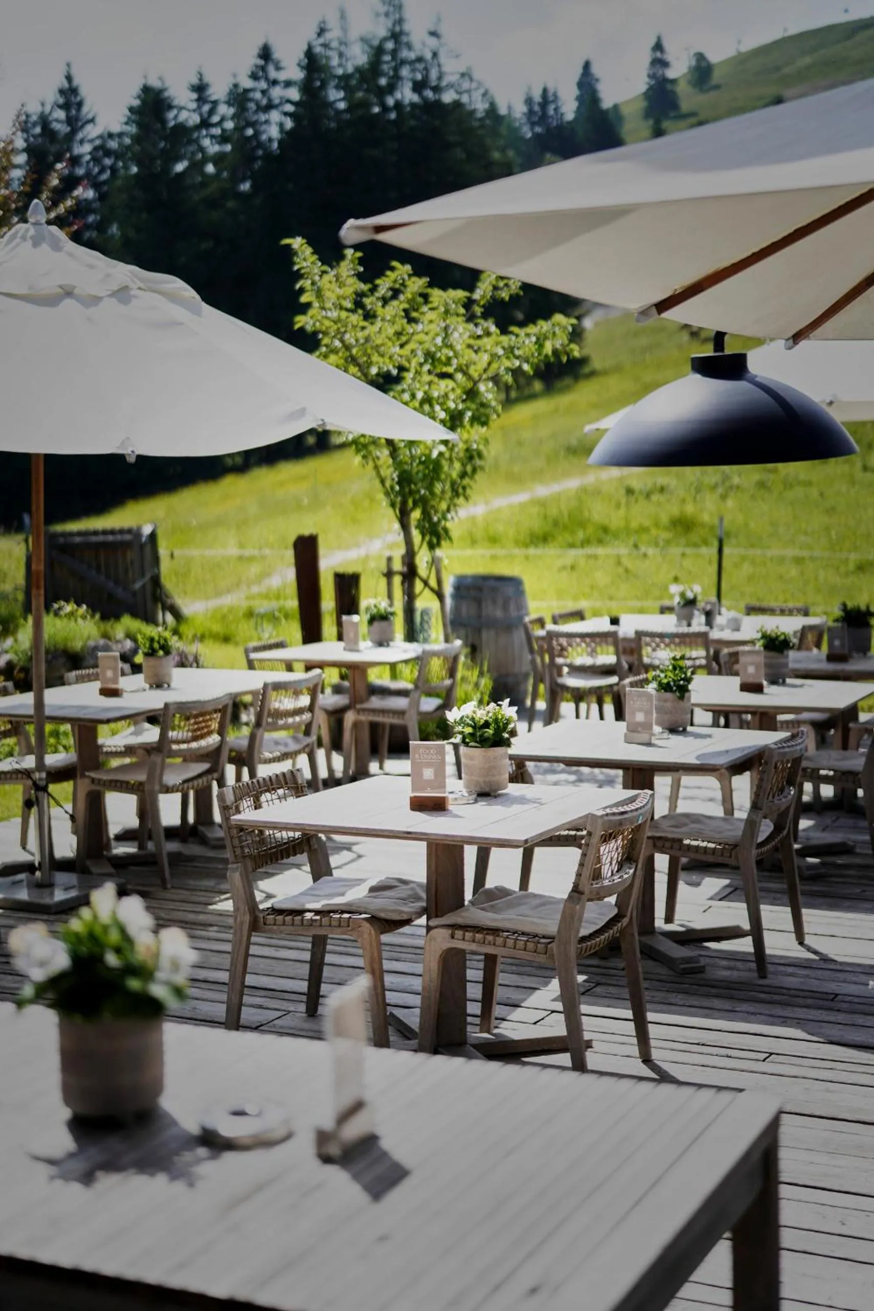 Balcony/Terrace in Holzhotel Forsthofalm