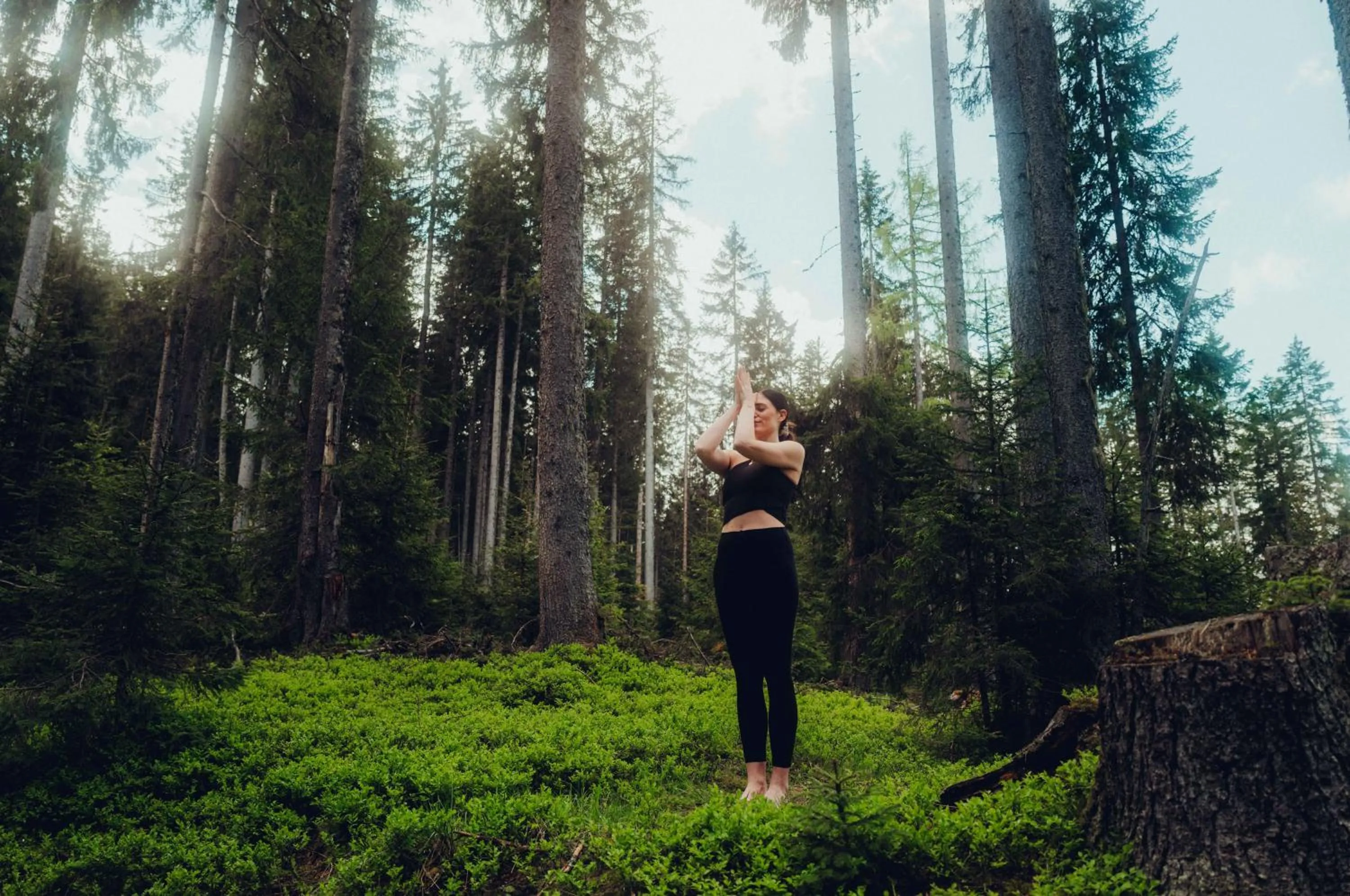 Summer in Holzhotel Forsthofalm