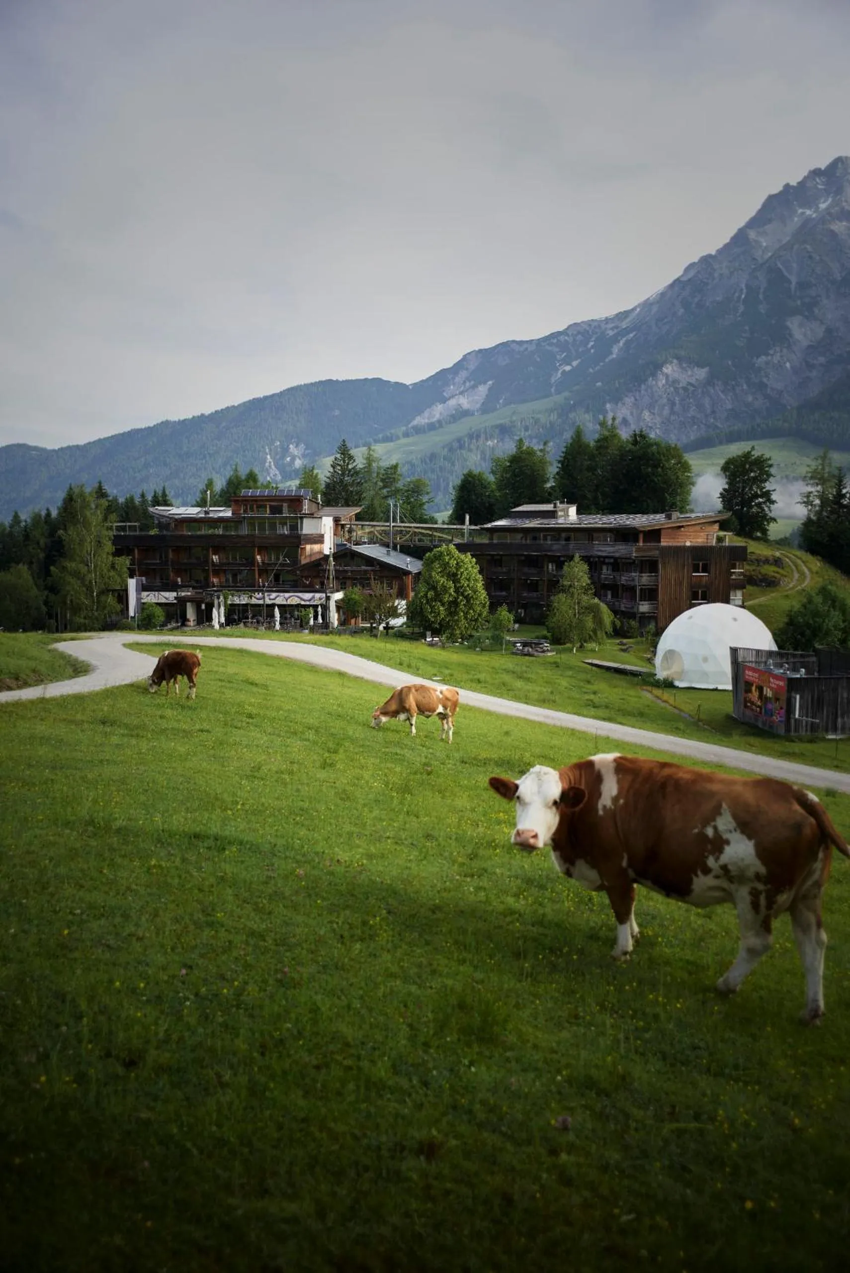 Property building in Holzhotel Forsthofalm
