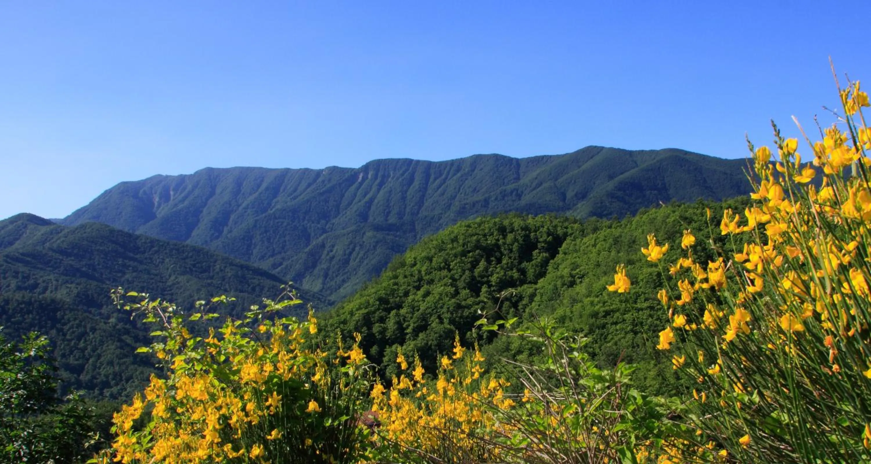 View (from property/room) in Granduca Mountain Wellness Apartments Campigna