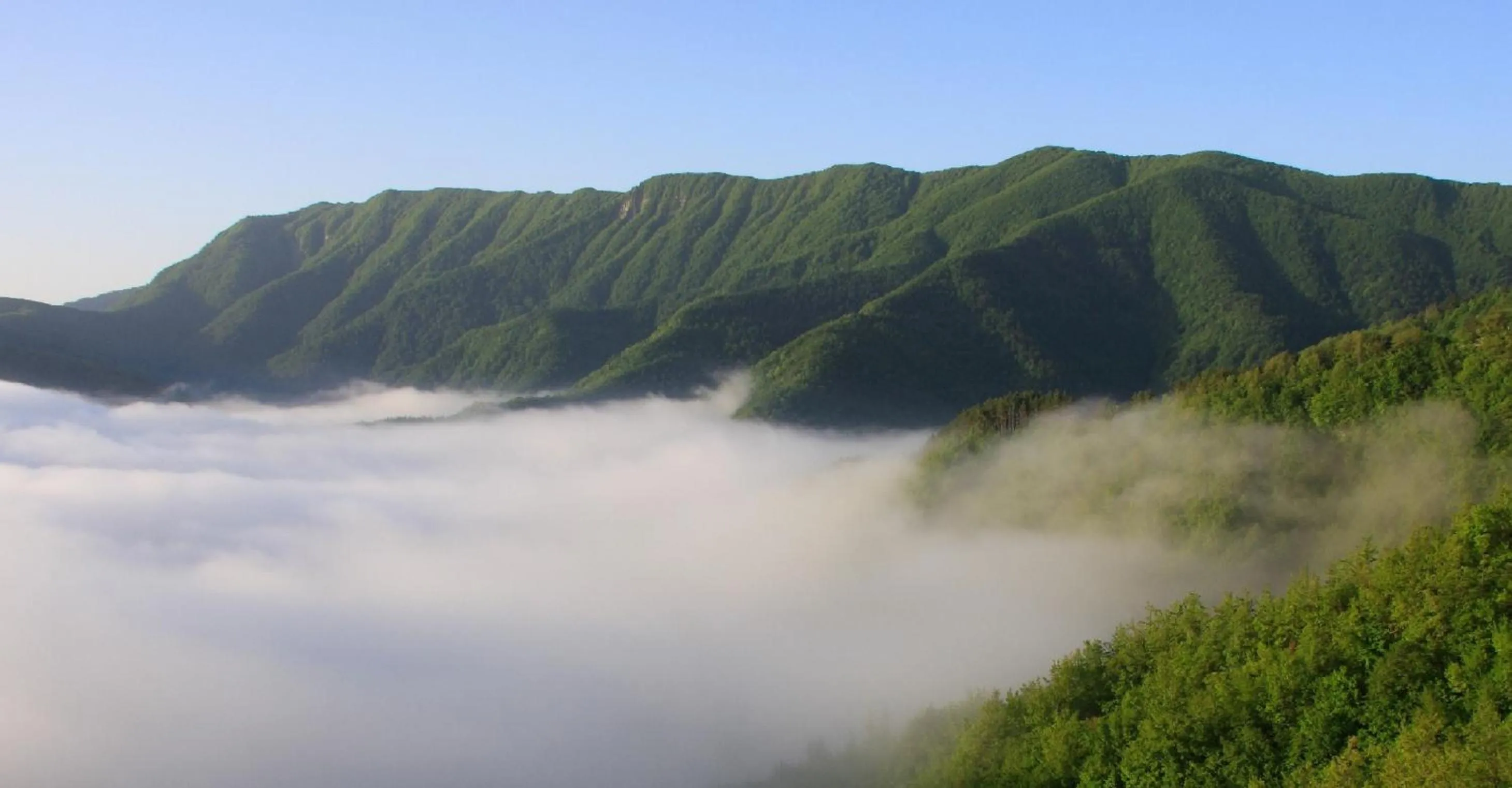 View (from property/room) in Granduca Mountain Wellness Apartments Campigna