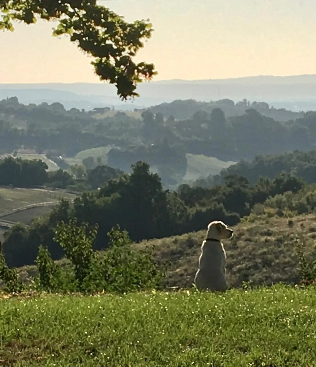 Property building in Aux Coteaux d'Aussac