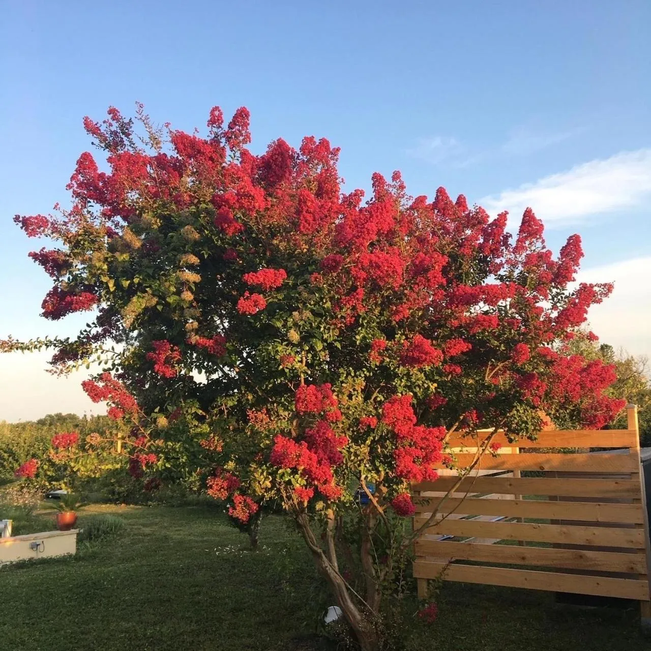 Garden in Aux Coteaux d'Aussac