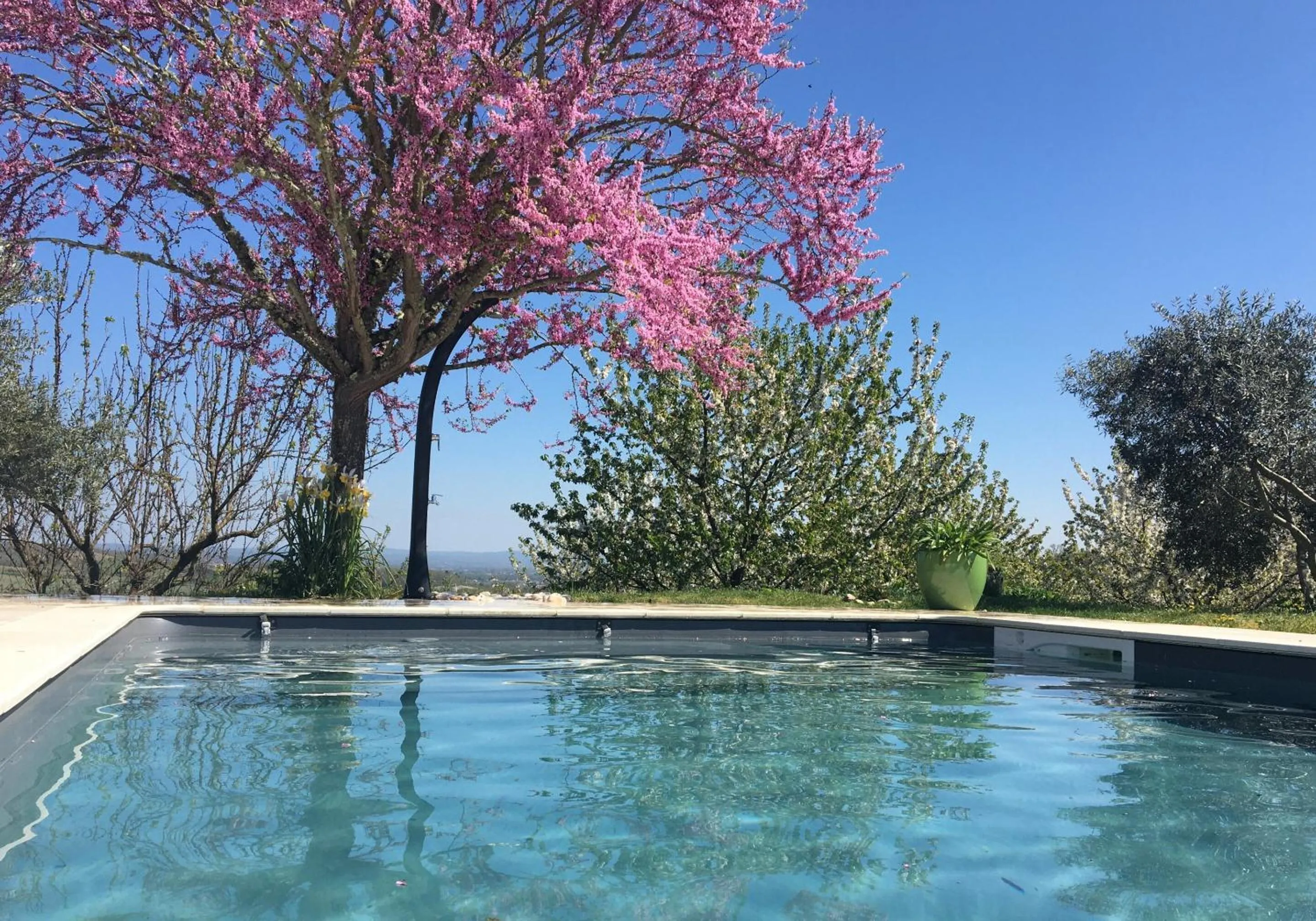 Pool view in Aux Coteaux d'Aussac