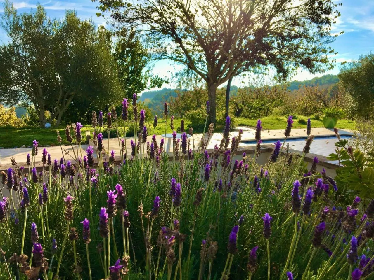 Garden in Aux Coteaux d'Aussac