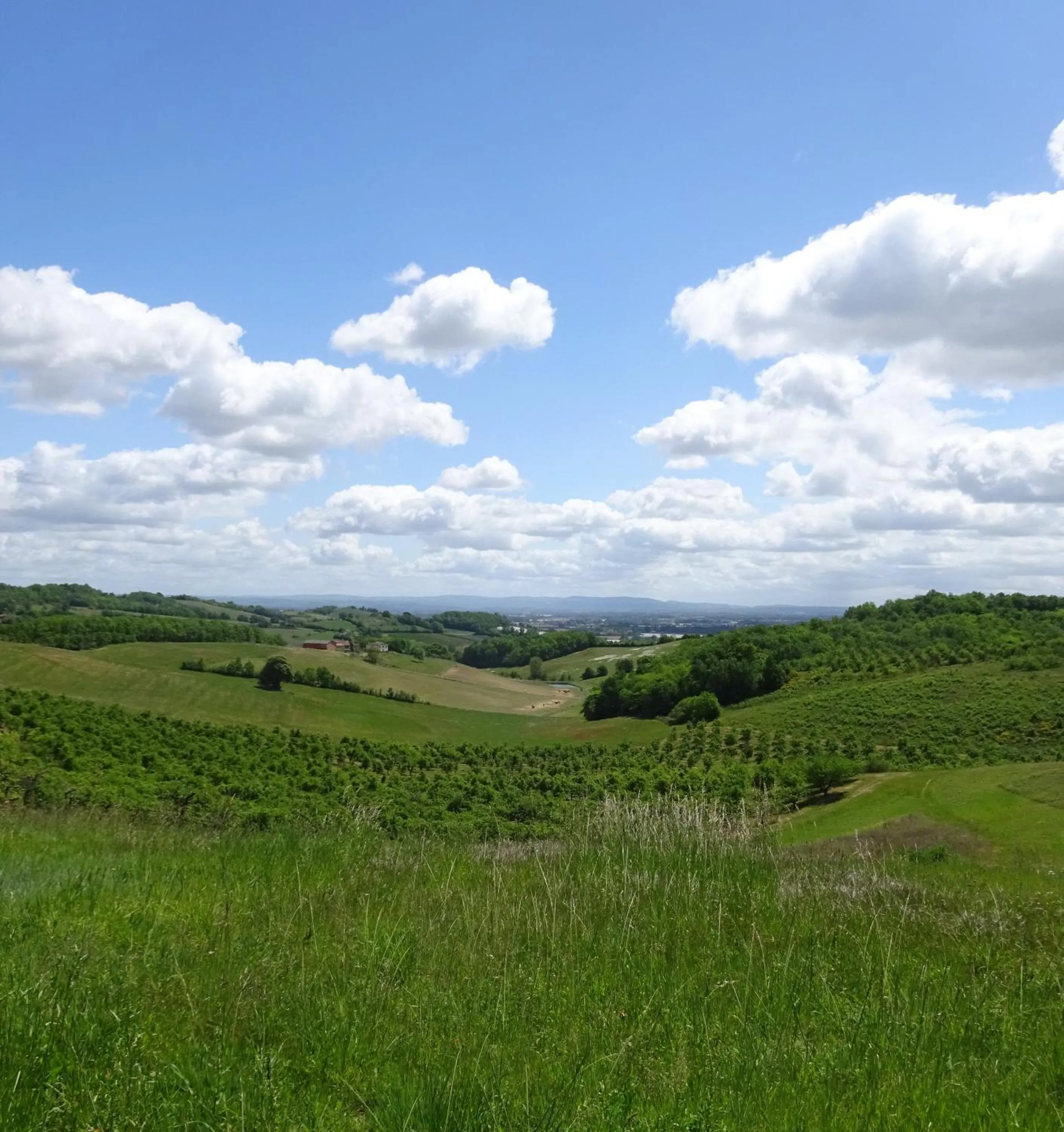 Neighbourhood in Aux Coteaux d'Aussac