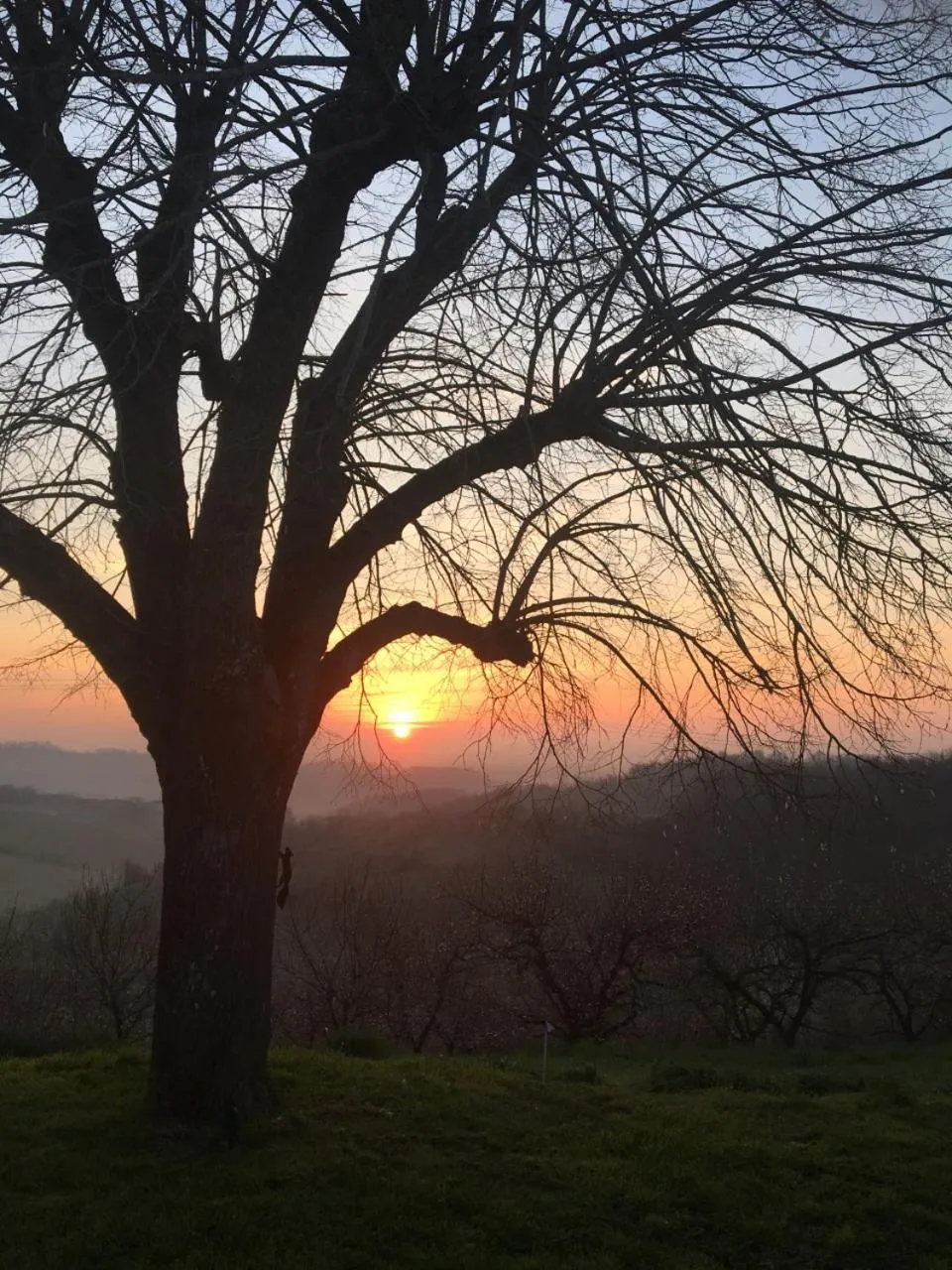 Garden in Aux Coteaux d'Aussac