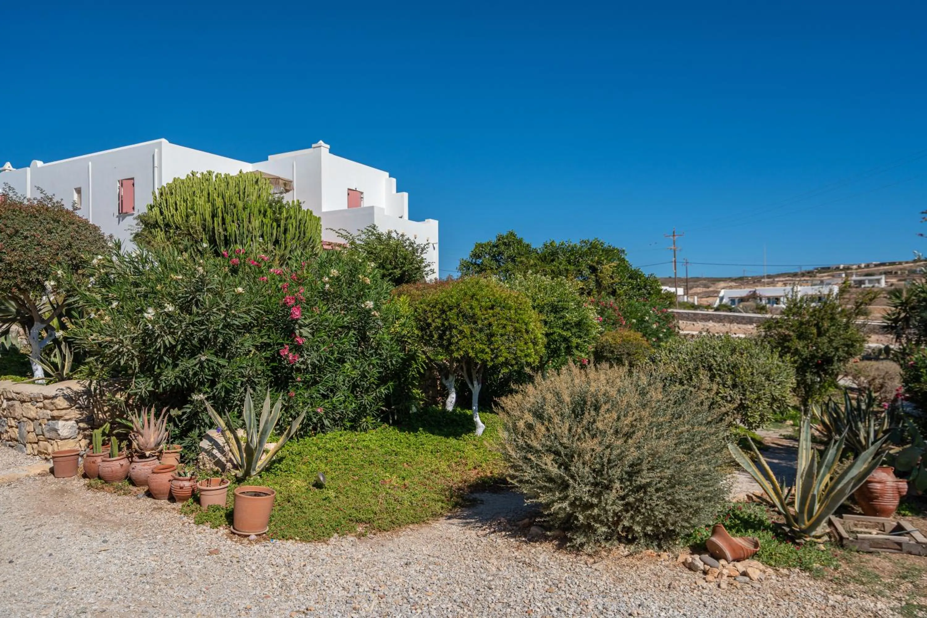 Garden in Aeolos Hotel