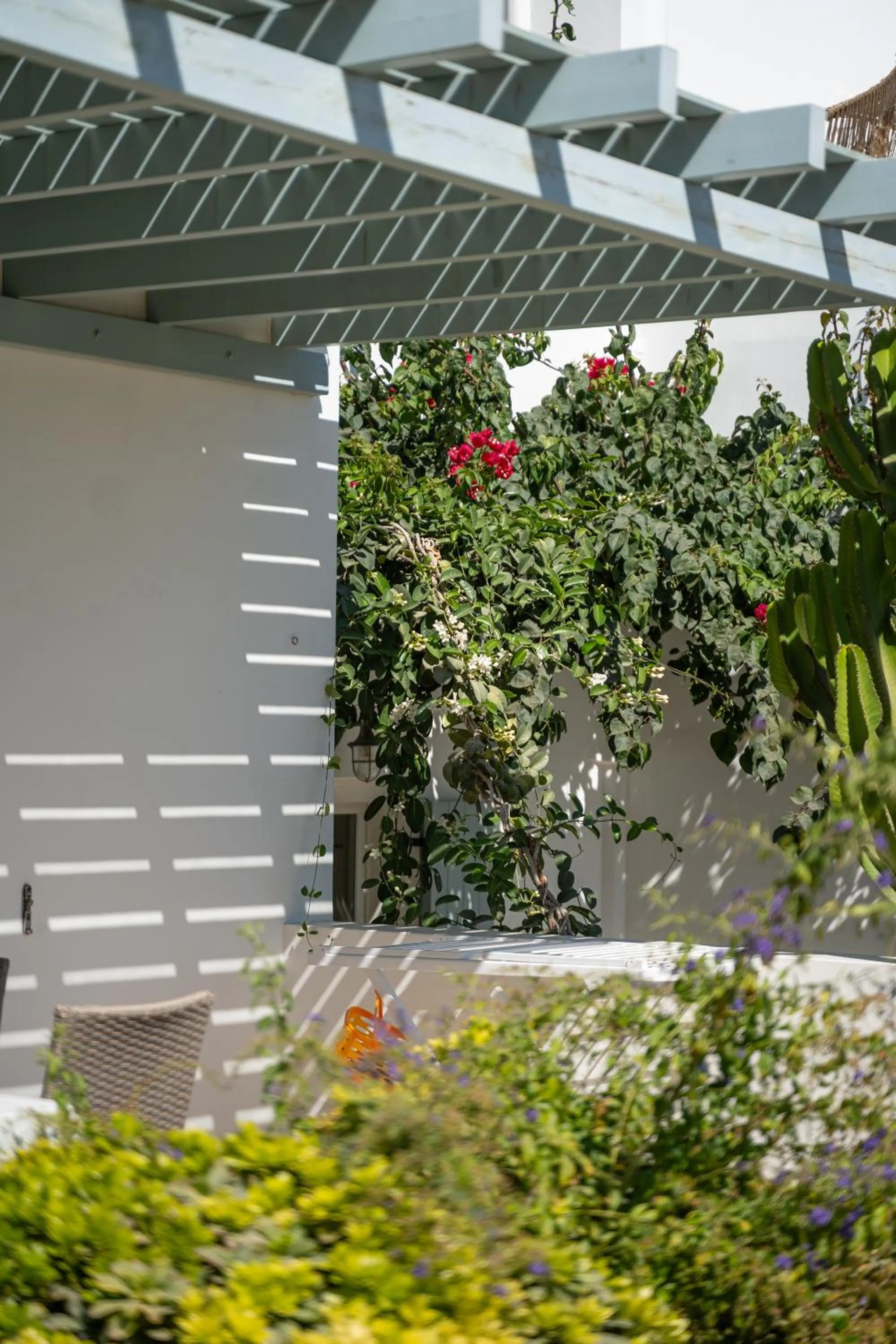 Garden in Aeolos Hotel