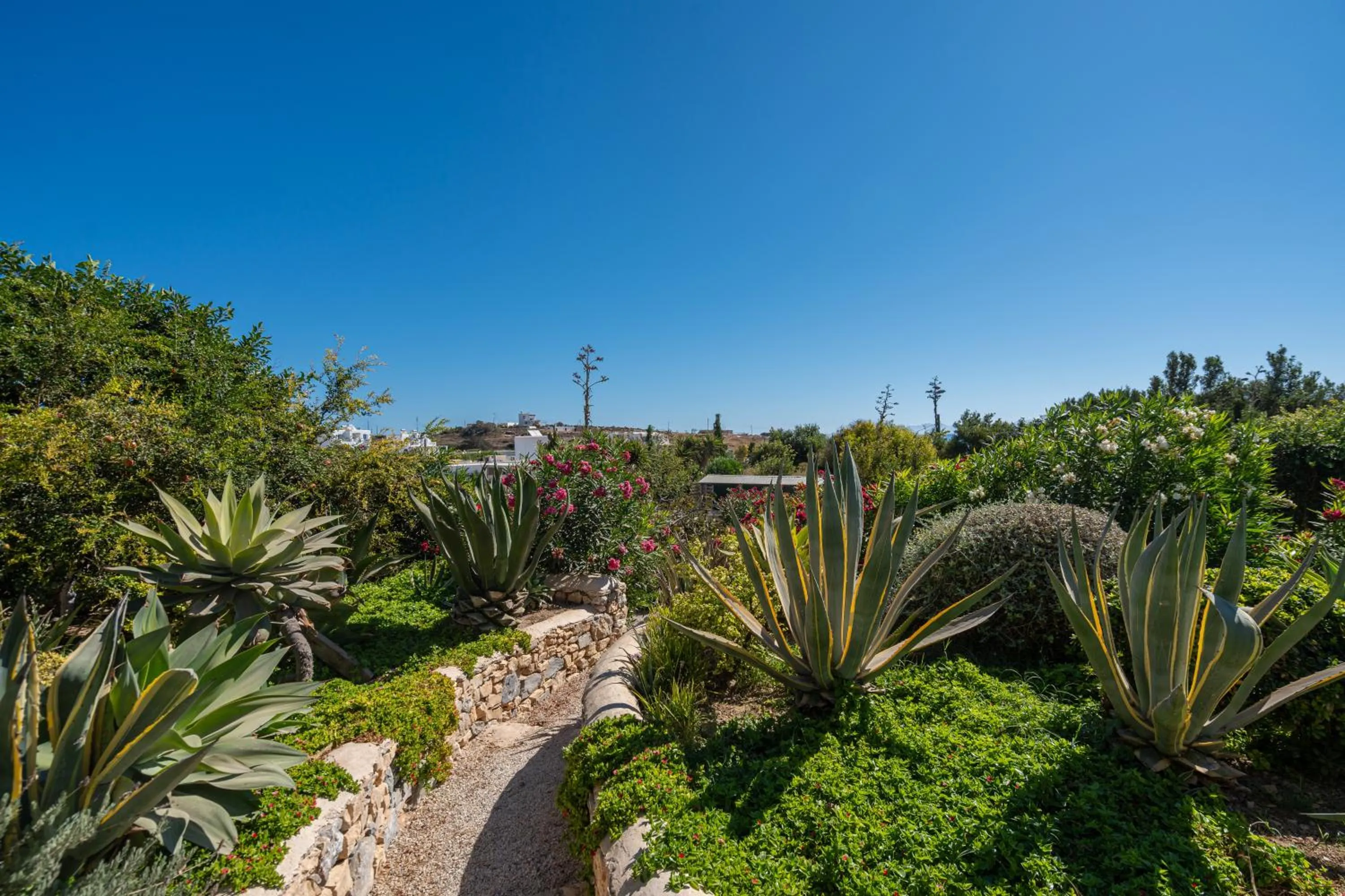 Garden in Aeolos Hotel
