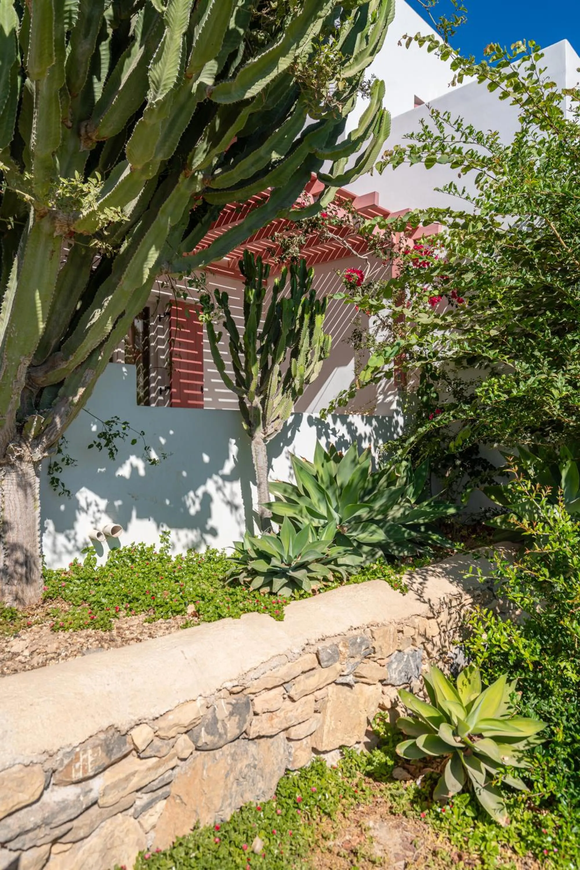 Garden in Aeolos Hotel