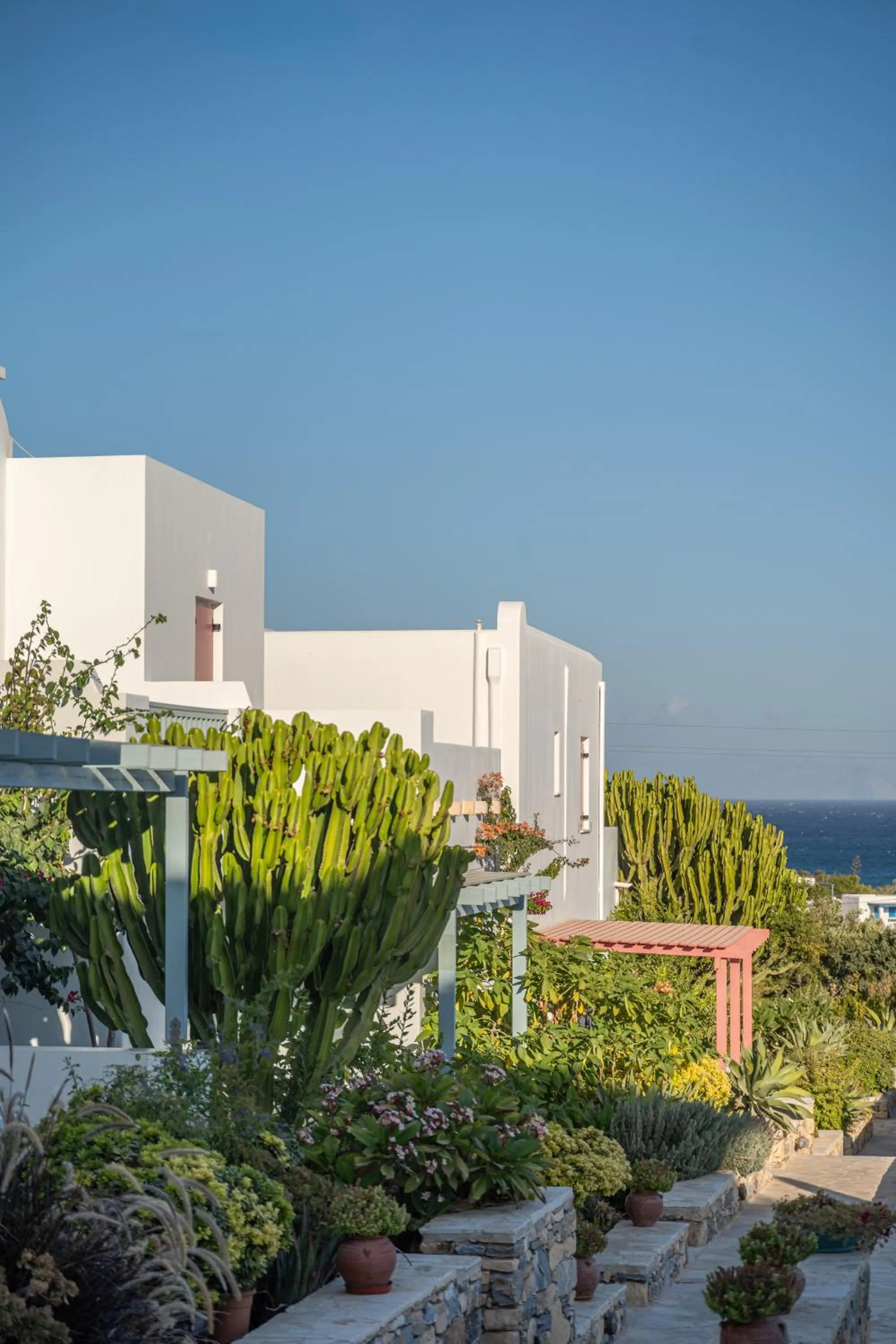 Garden in Aeolos Hotel