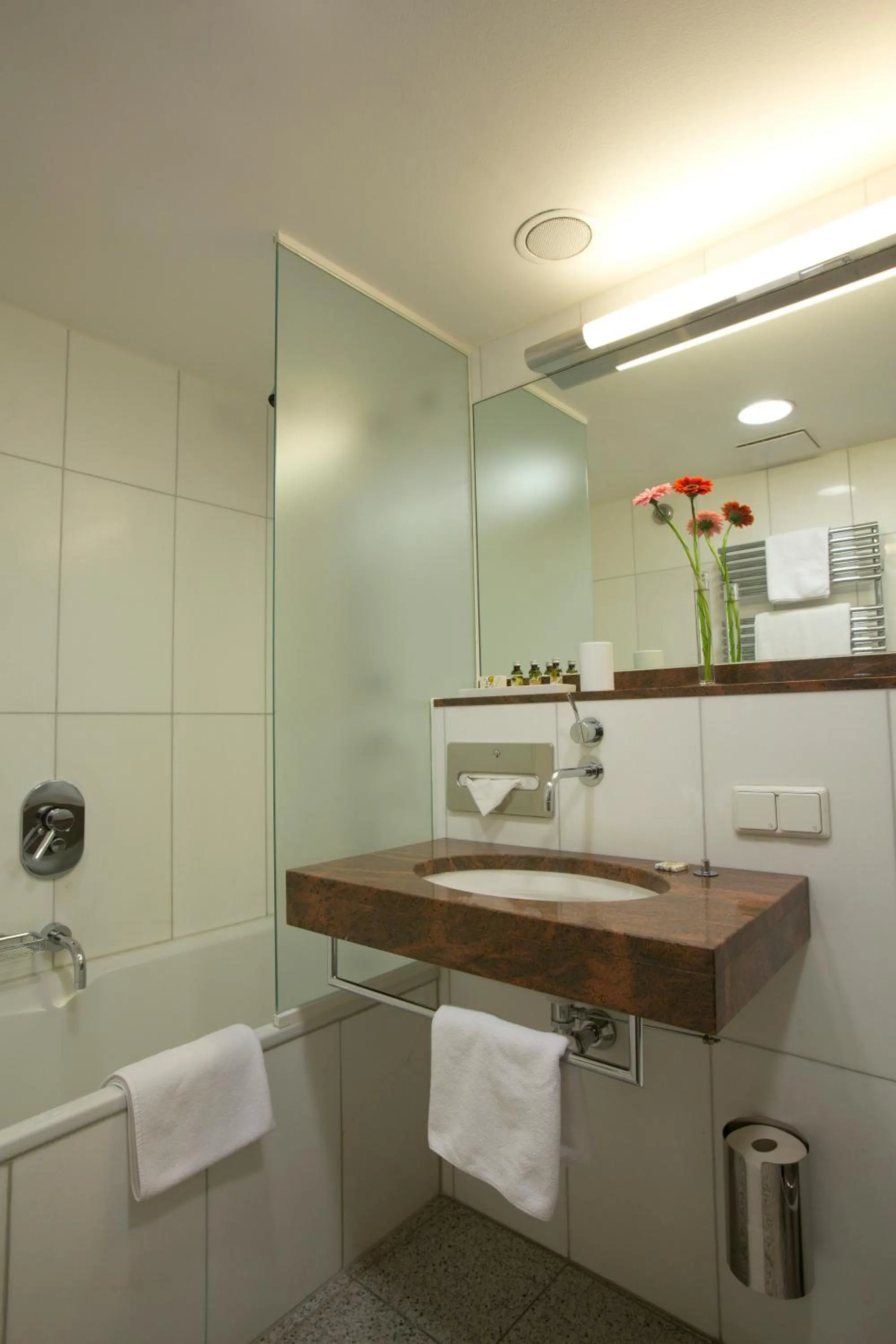 Shower in Appartement-Hotel an der Riemergasse