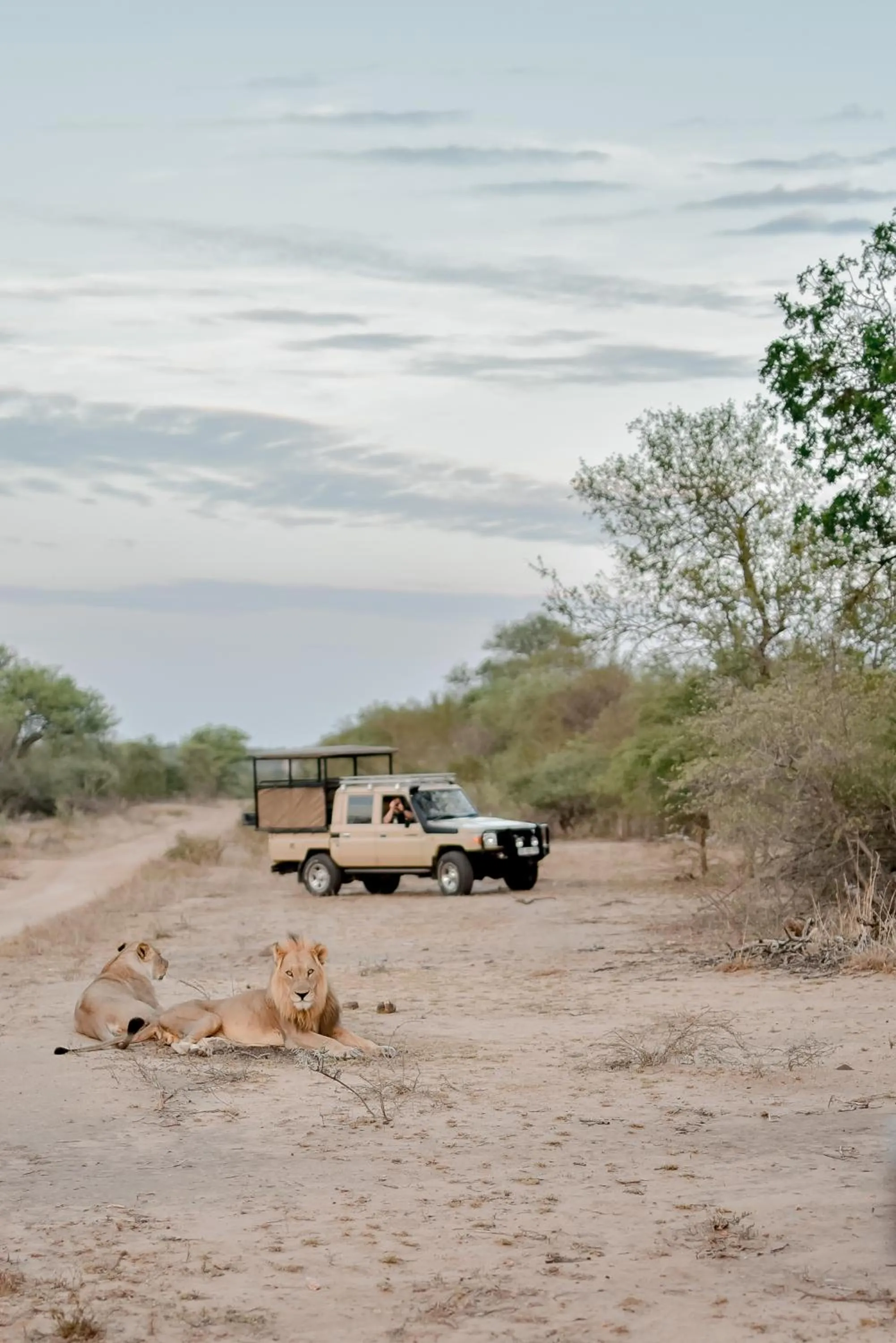 View (from property/room) in Moditlo River Lodge