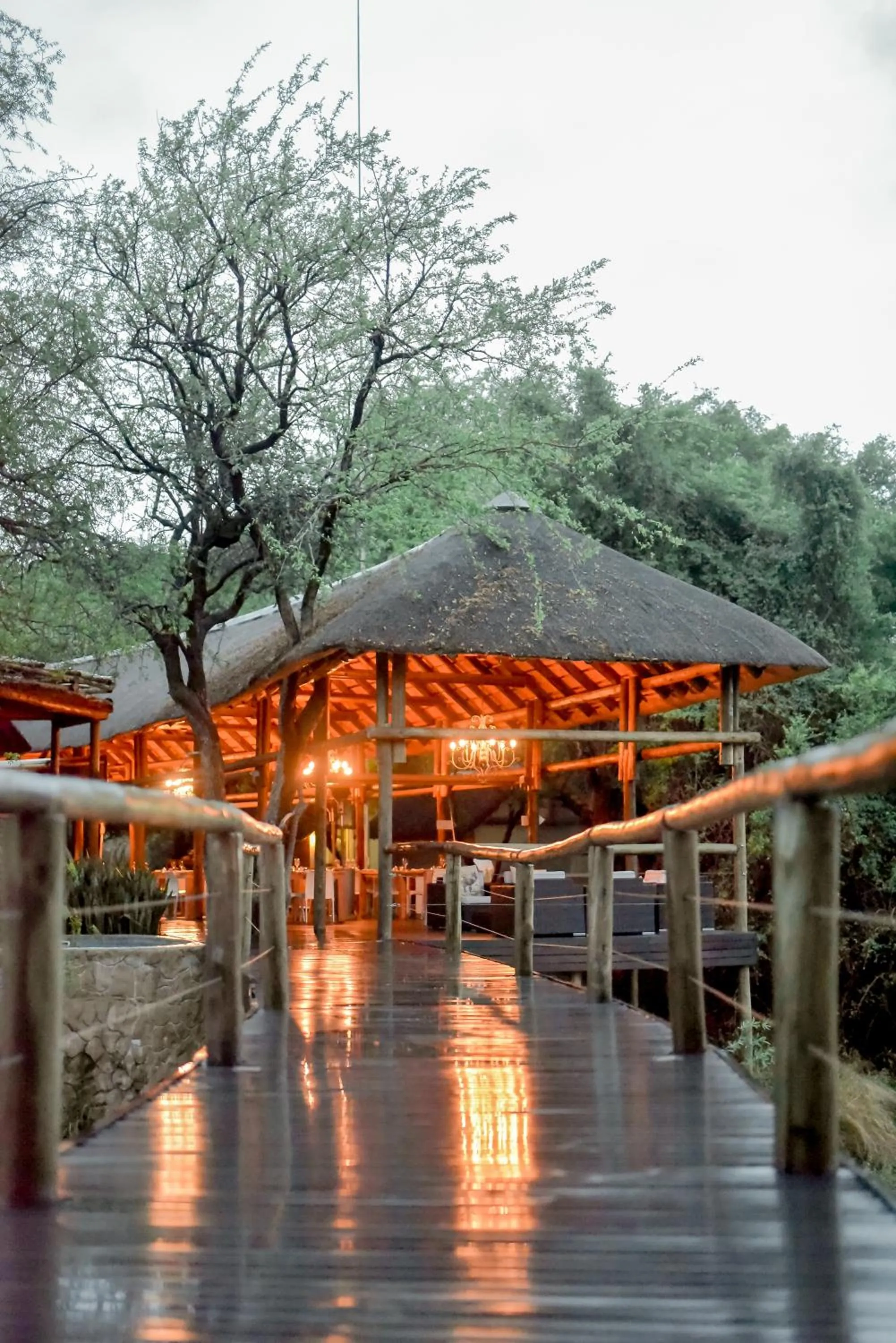 Facade/entrance in Moditlo River Lodge