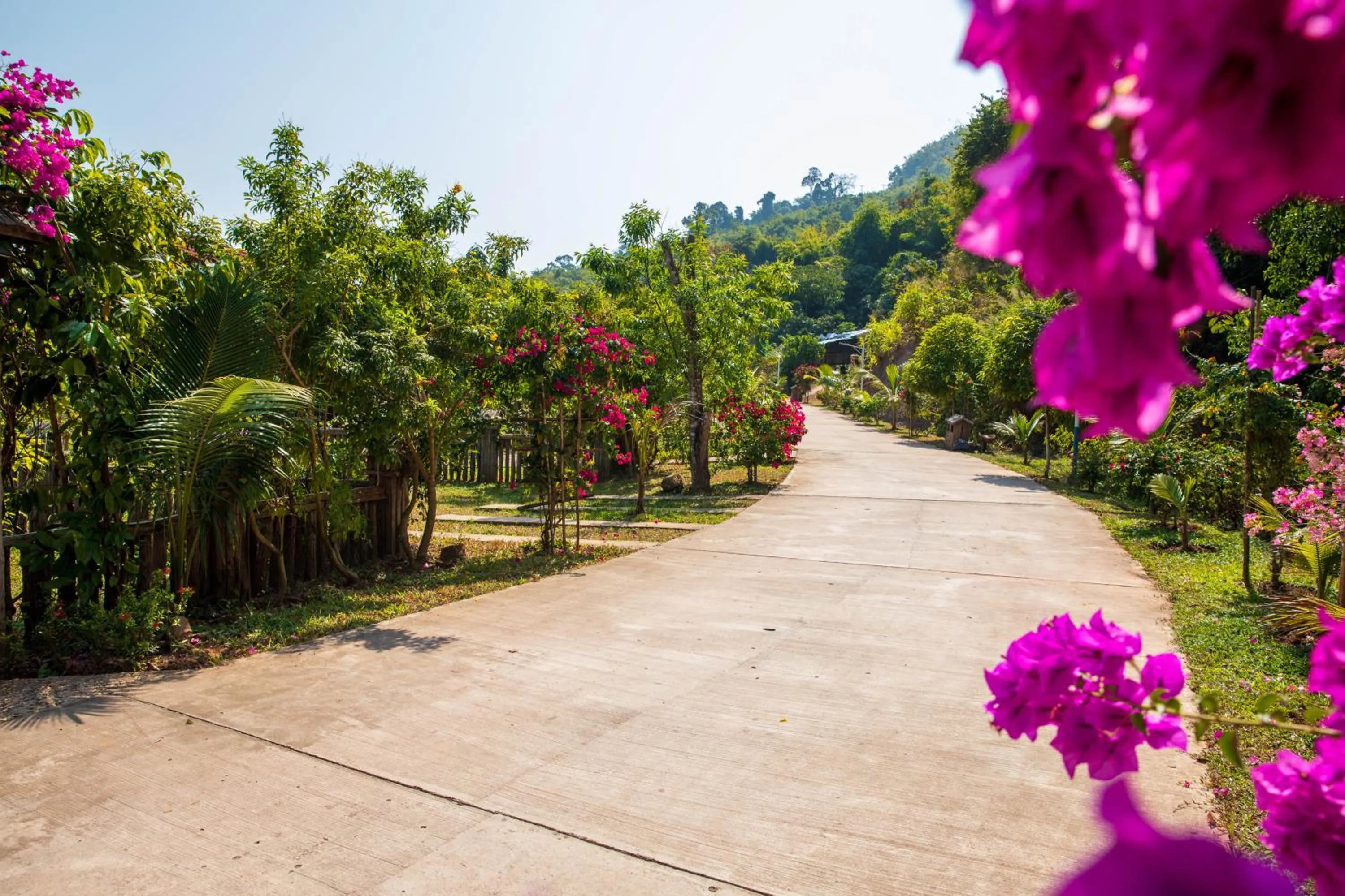 Natural landscape in Dansavanh Namngum Resort