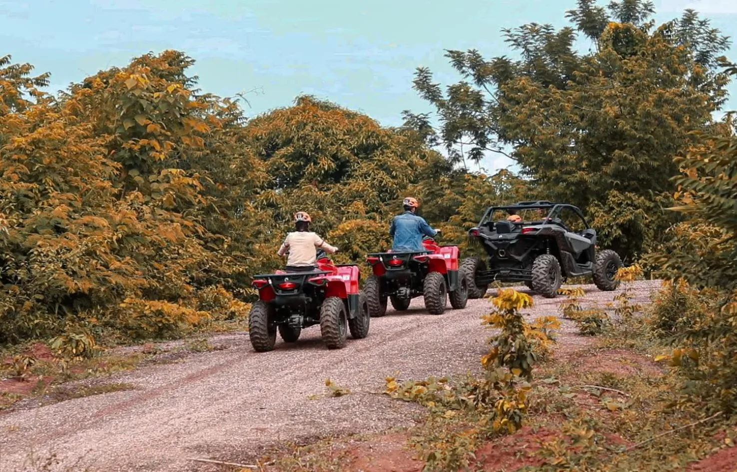Natural landscape in Dansavanh Namngum Resort