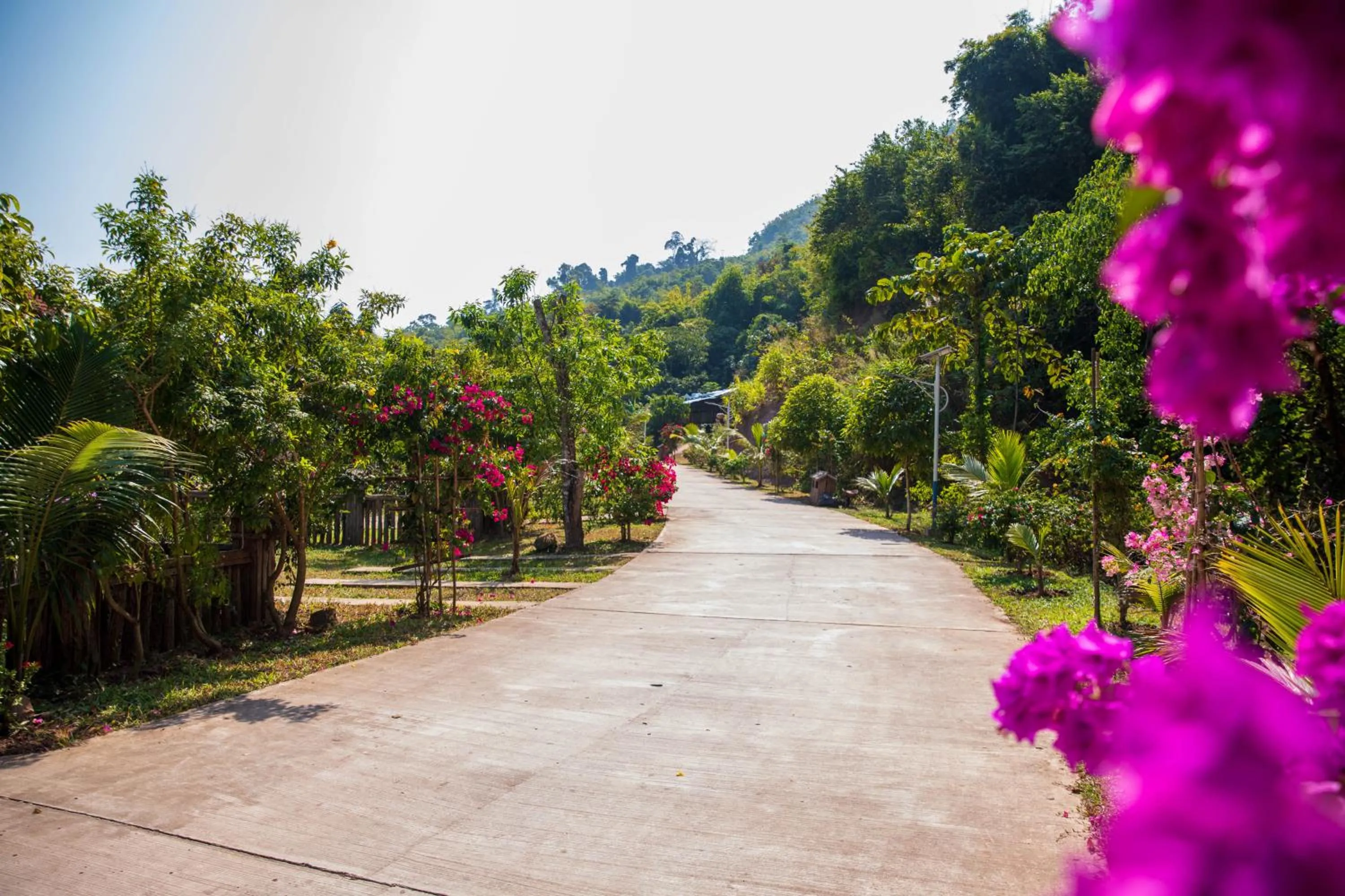 Natural landscape in Dansavanh Namngum Resort