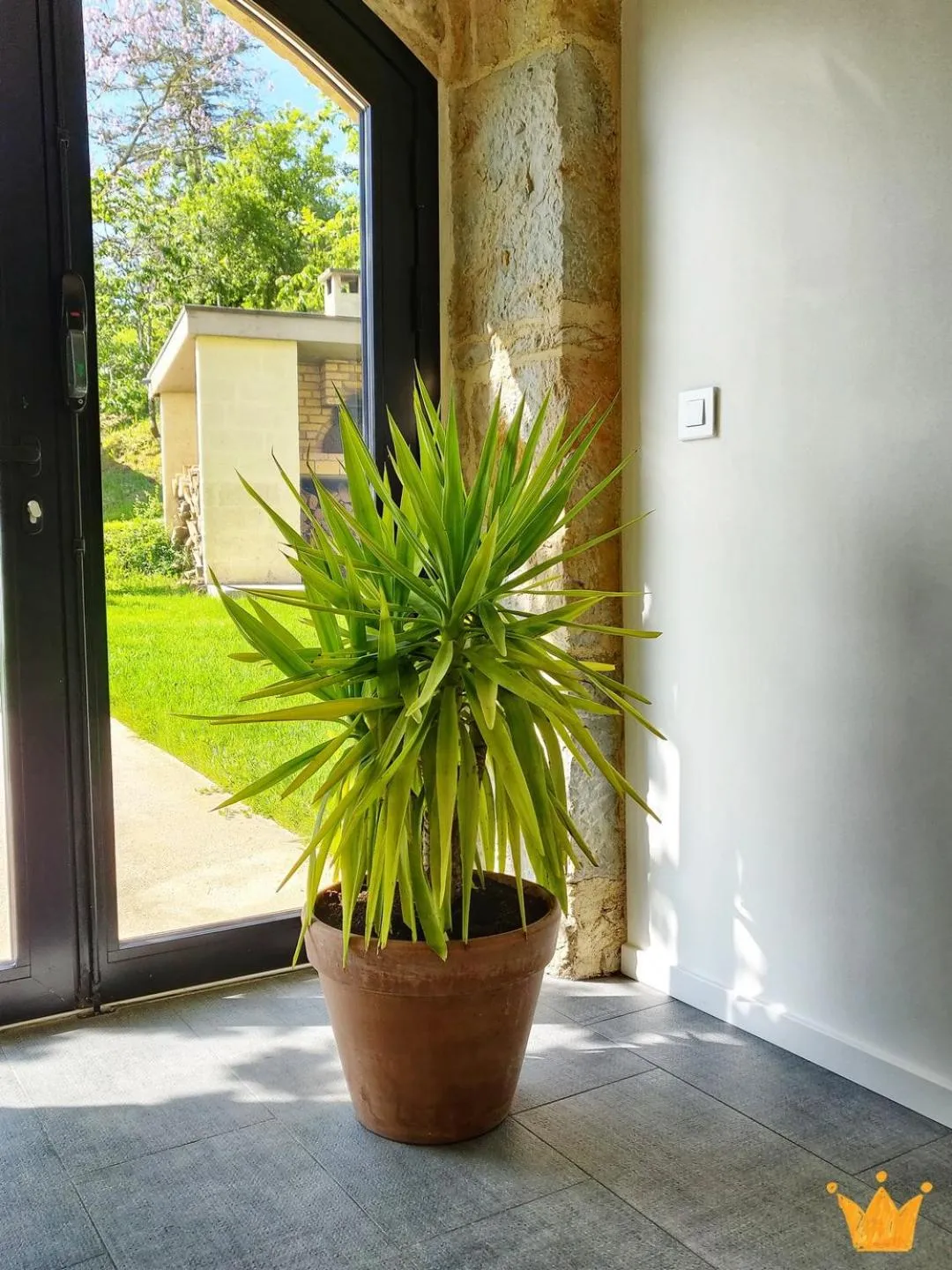 Property building in Estafête