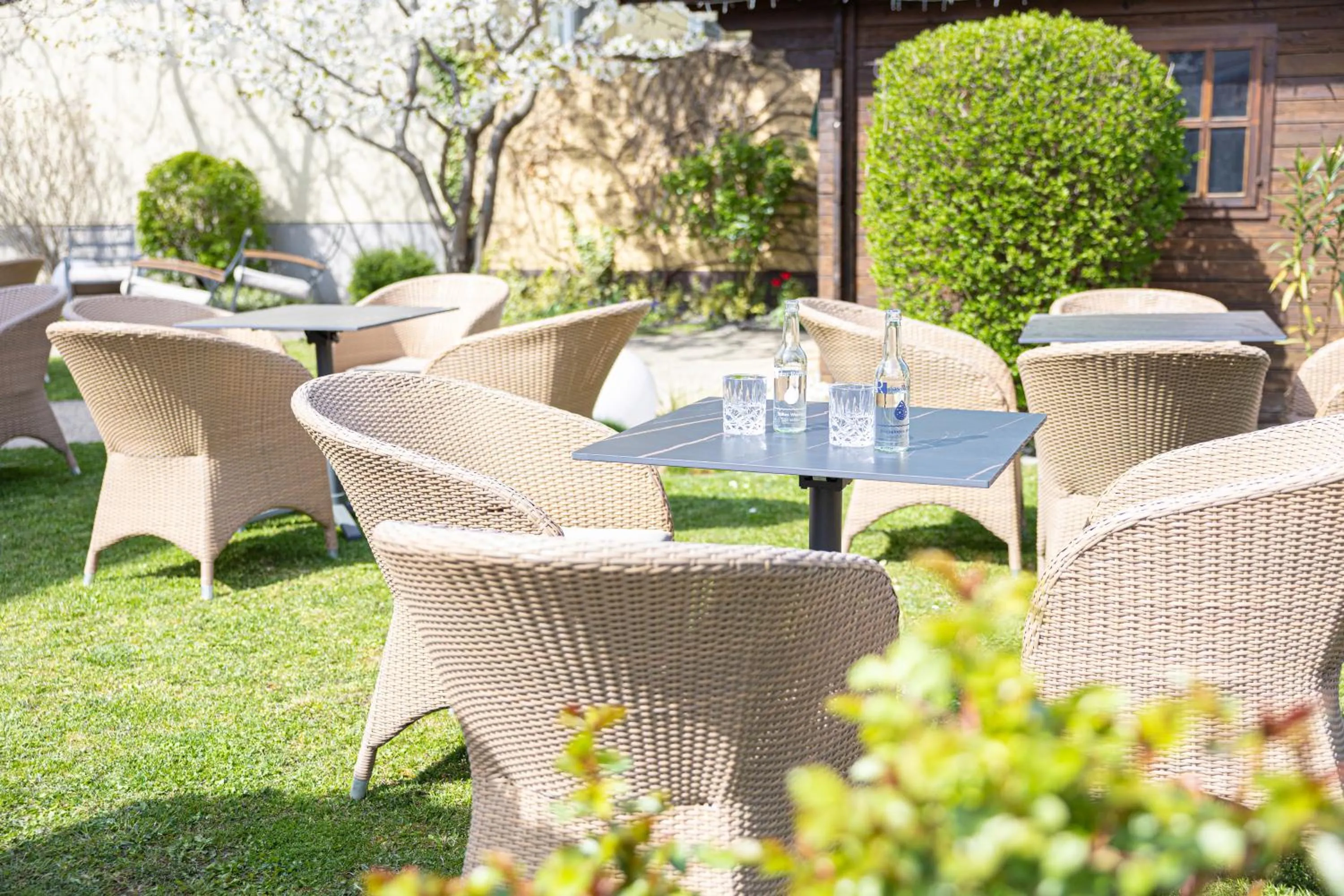 Garden in Das Reinisch Hotel - near Vienna Airport