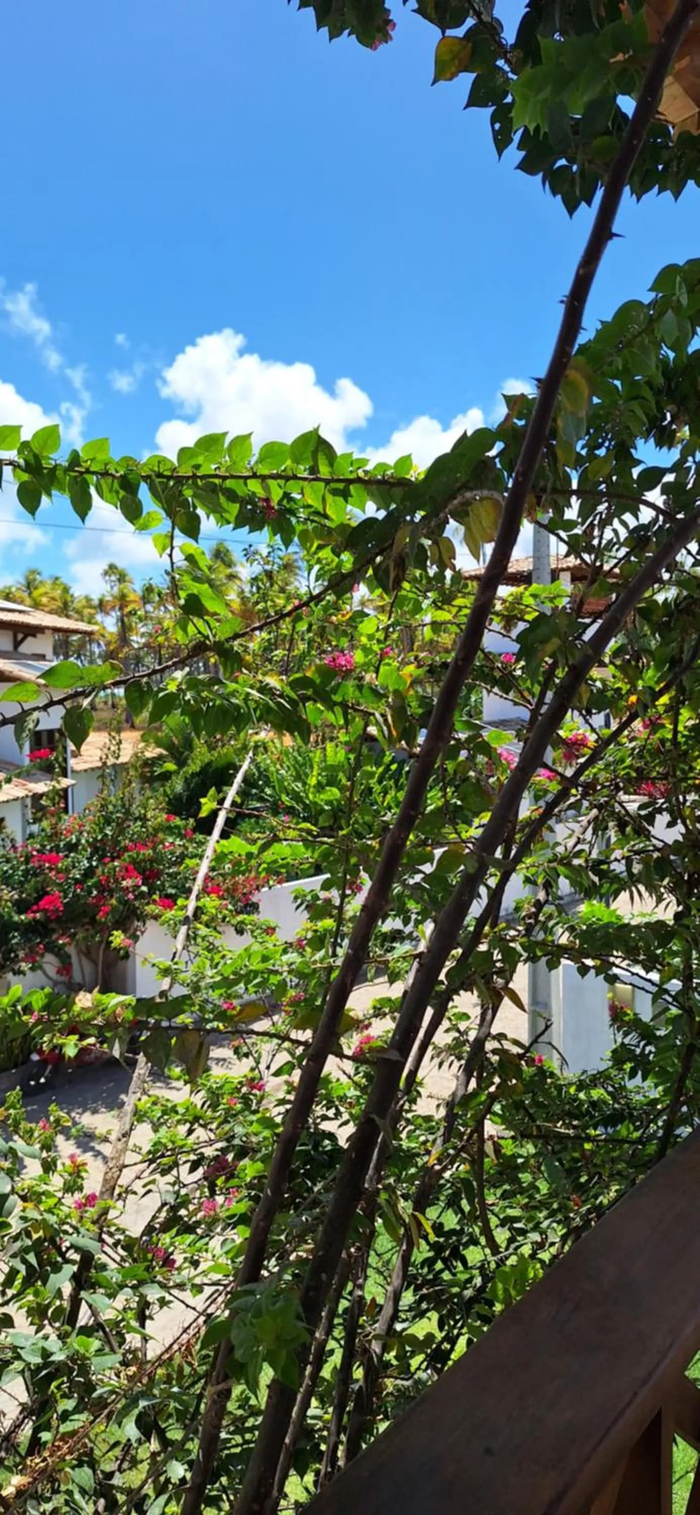 Arataba Hotel Boutique e Bistrô - 150 mts do mar