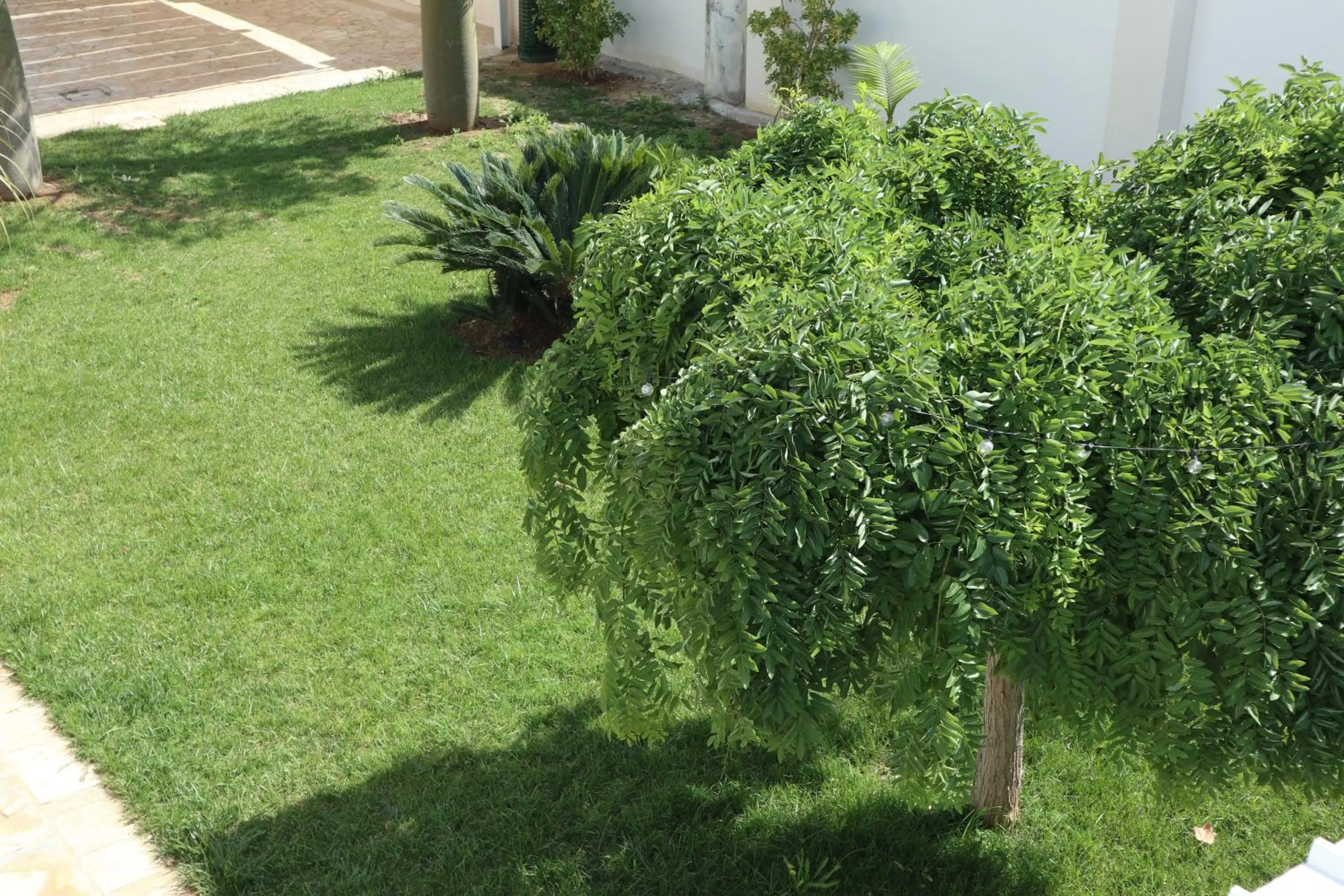 Garden in Adagio Salentino