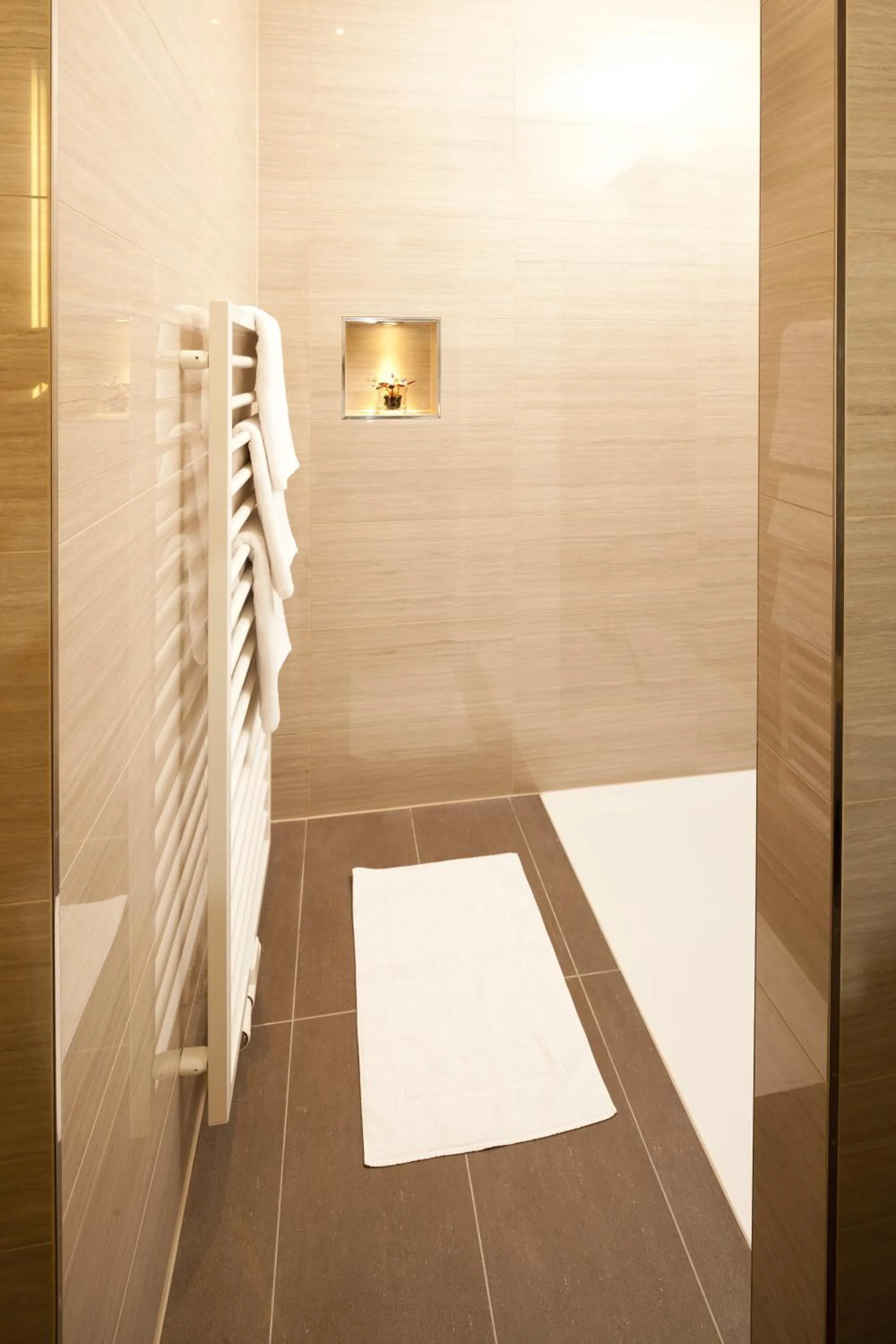 Shower in Hotel Hoher Freschen