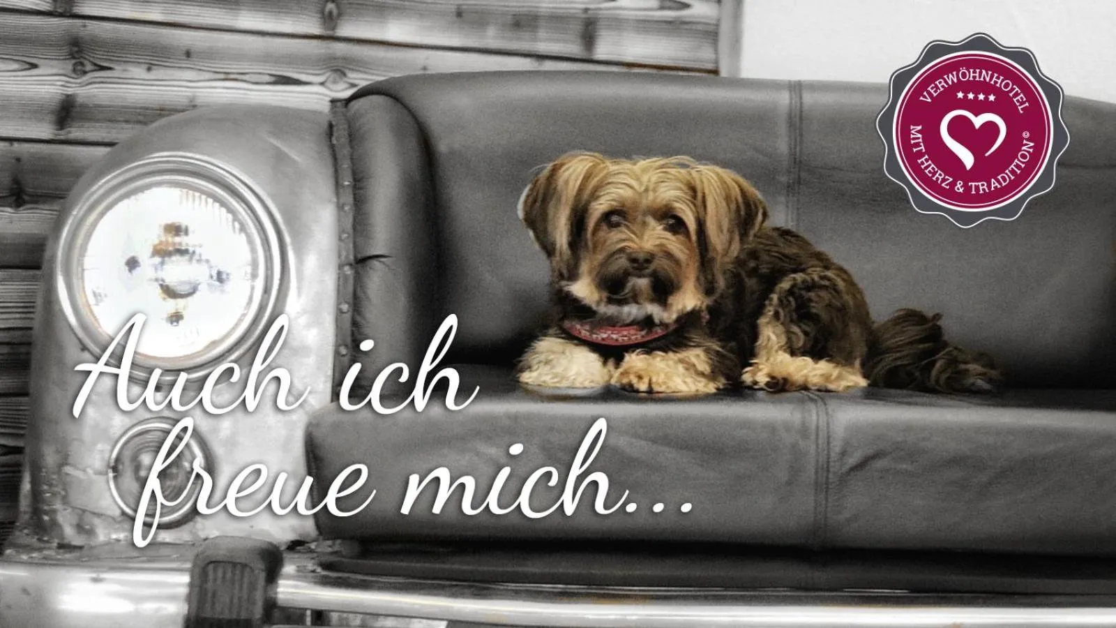 Pets in VÖTTER'S HOTEL in Kaprun am Kitzsteinhorn - Skibus direkt