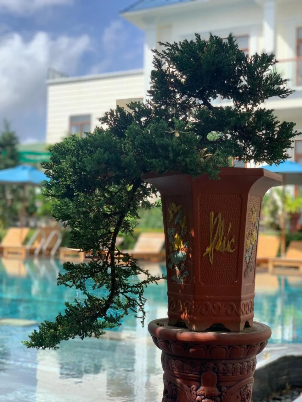 Garden in The Landing Resort