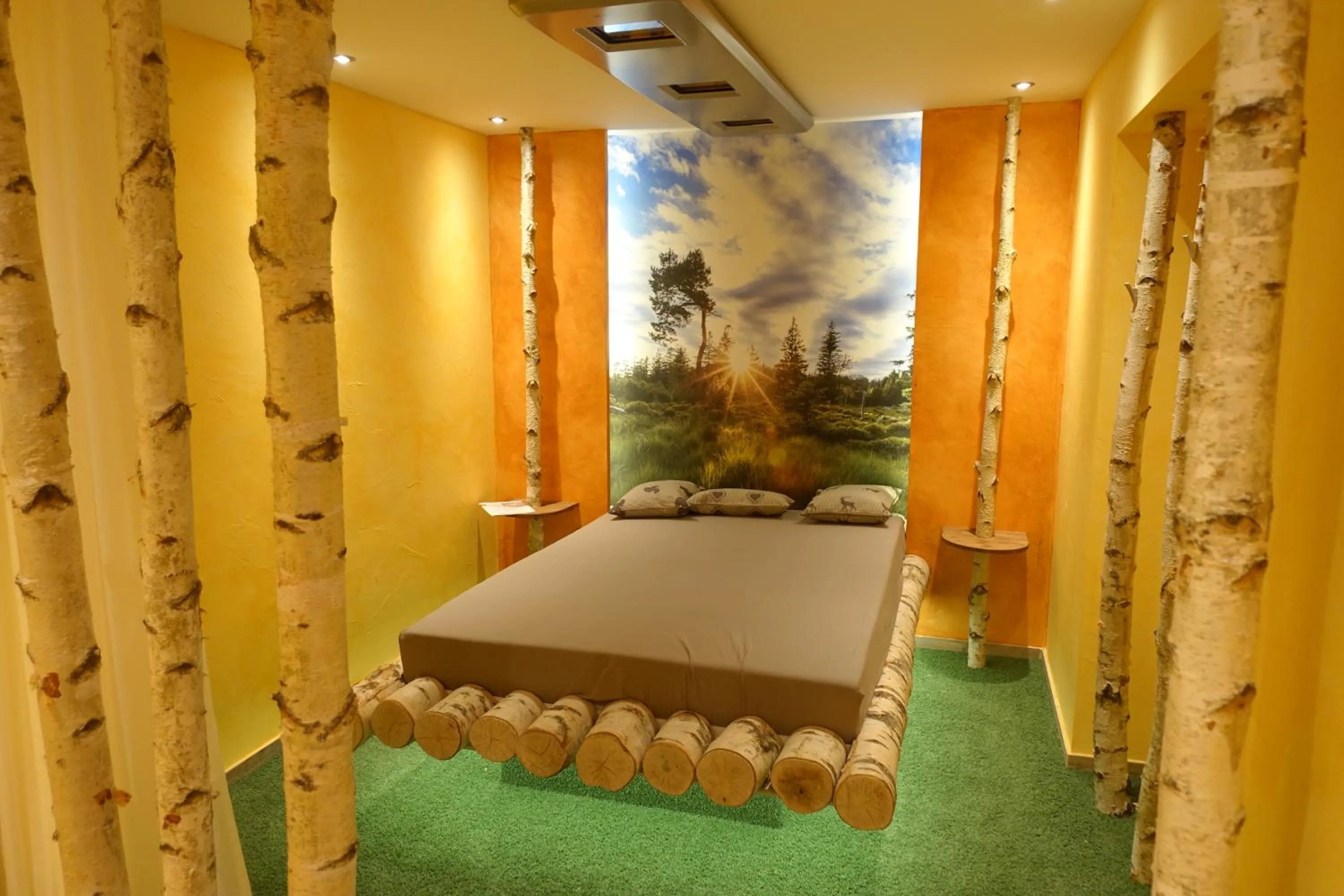 Spa and wellness centre/facilities, Bed in Wellnesshotel Tanne