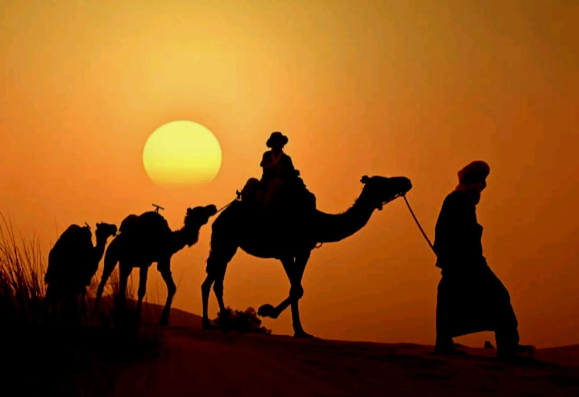 People in Desert Romantic Camp