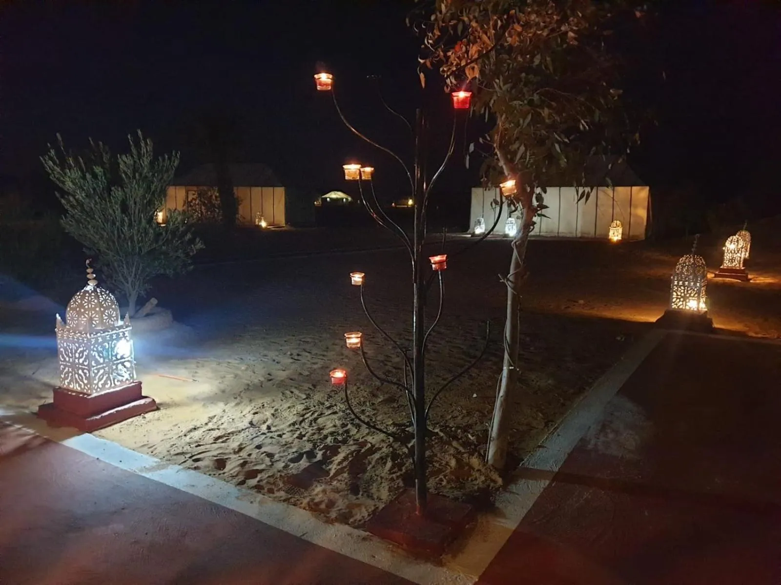 Night in Desert Romantic Camp