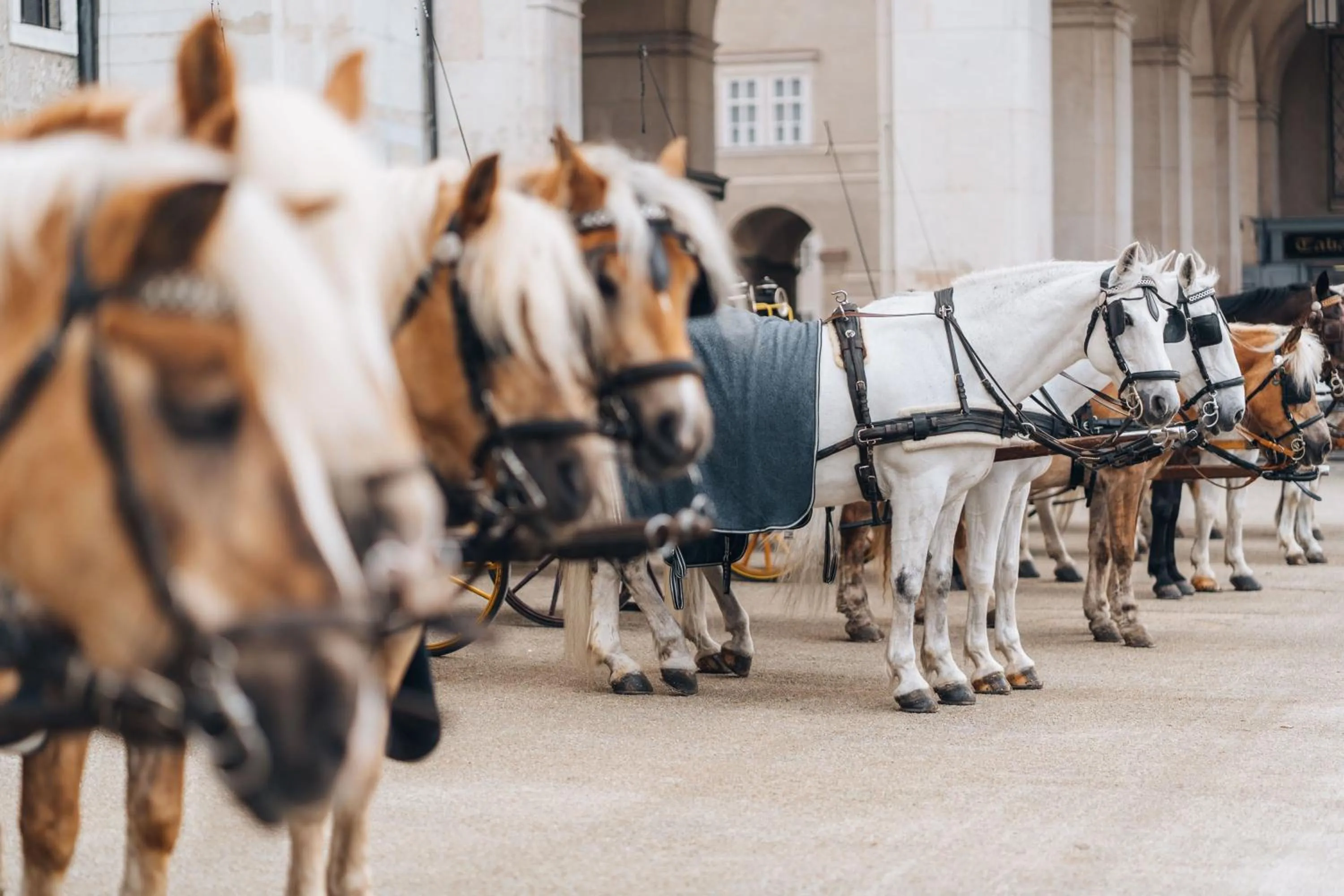 Other in Hotel Goldener Hirsch, A Luxury Collection Hotel, Salzburg