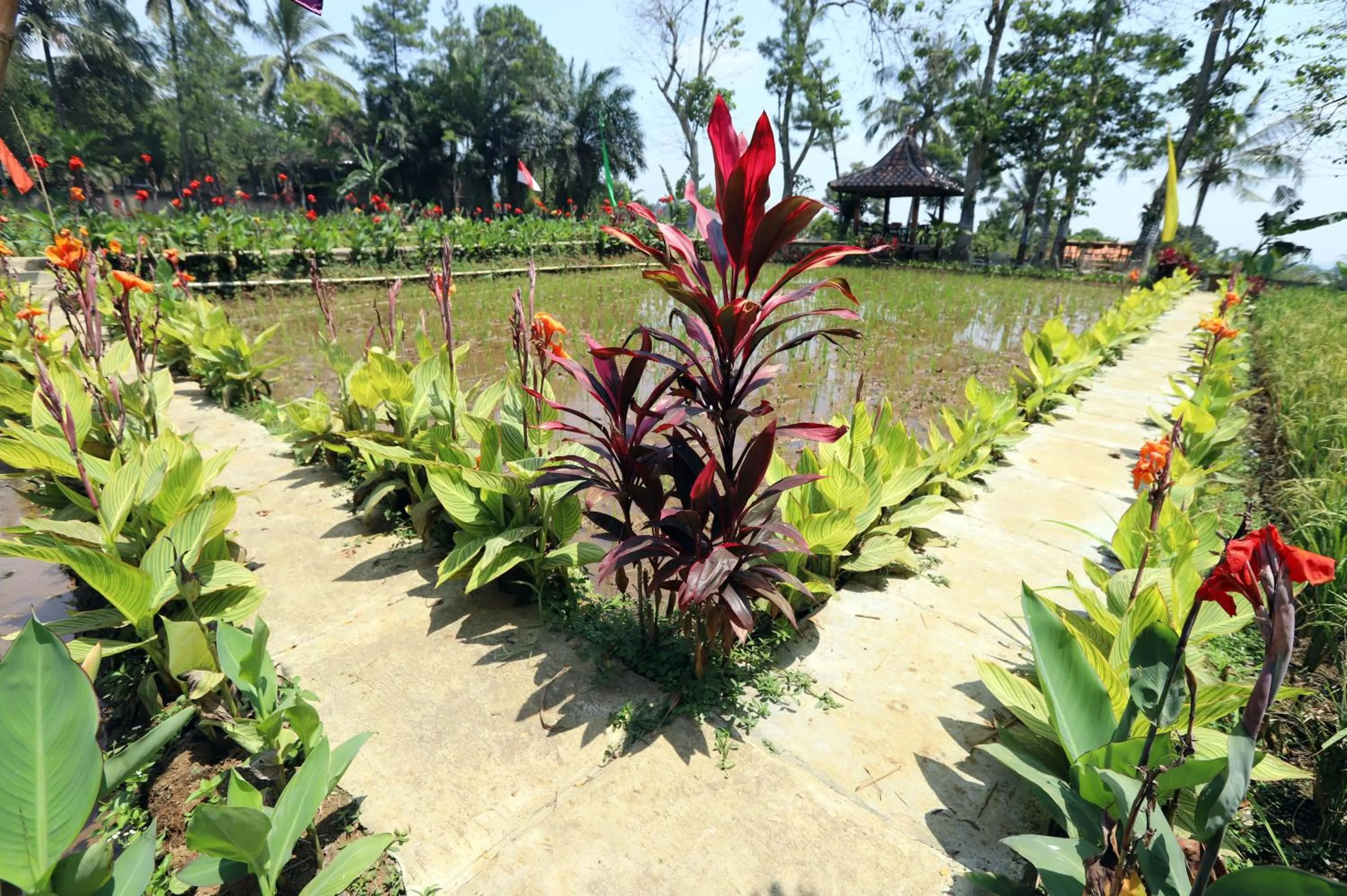 Garden in Katumbiri Resort
