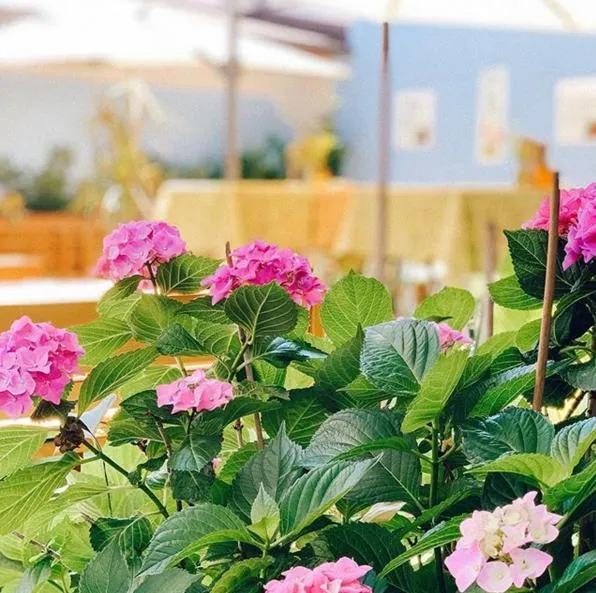 Restaurant/places to eat in Hotel Bayrischer Hof