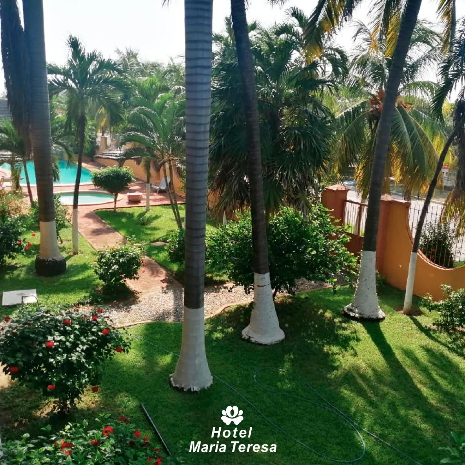 Garden in HOTEL MARIA TERESA