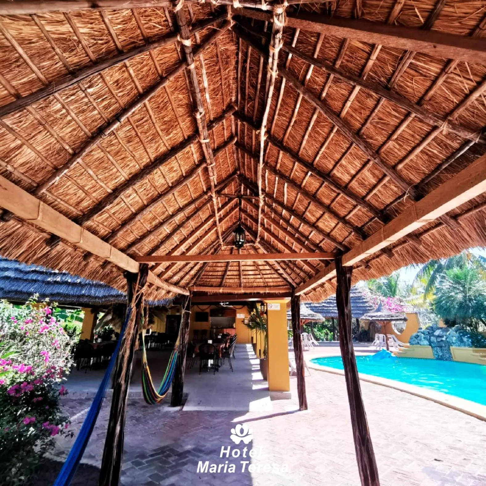 Patio in HOTEL MARIA TERESA